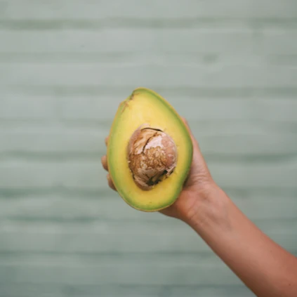 Avocado - Image 16