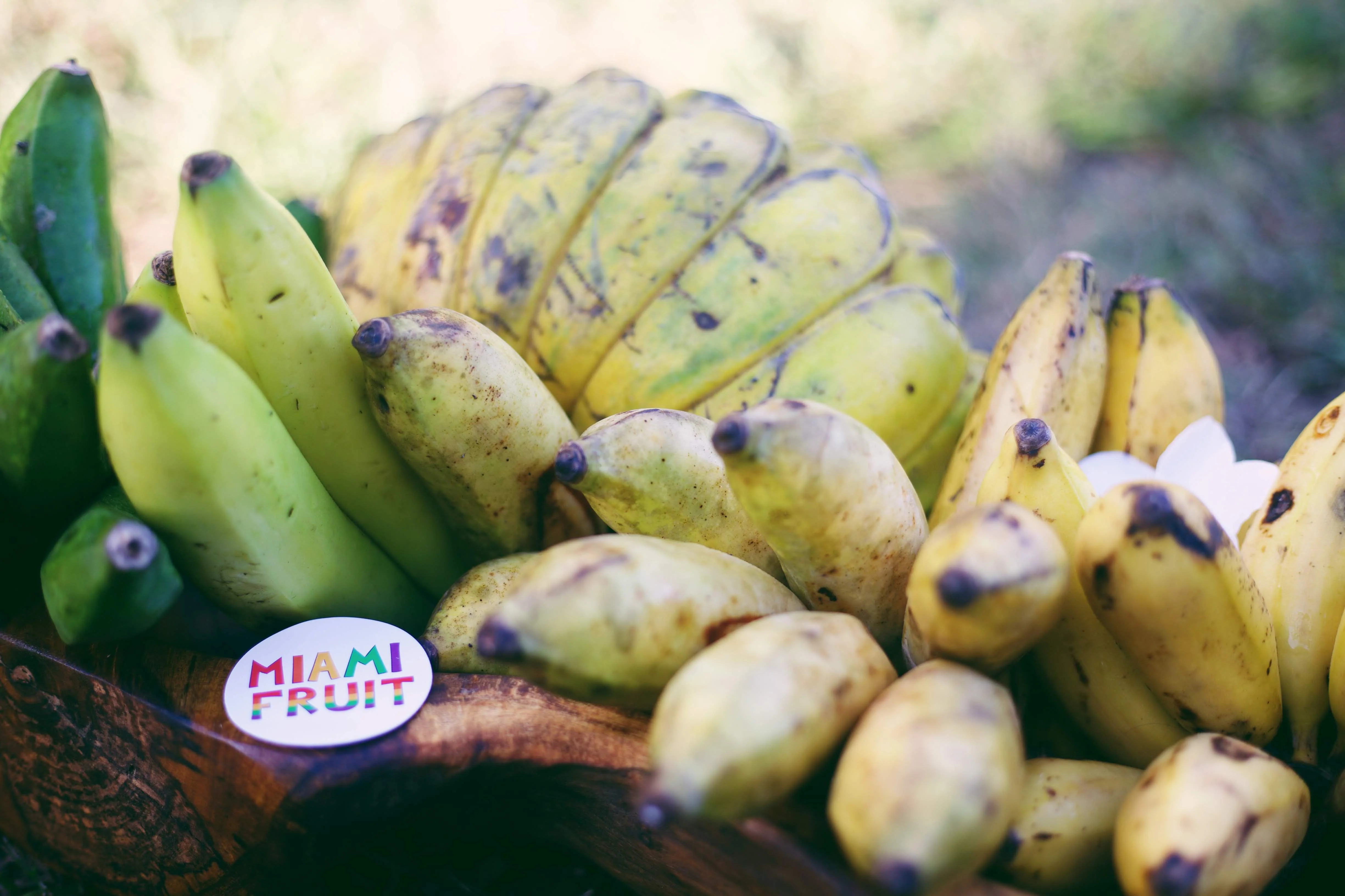Banana Variety Box - Image 16