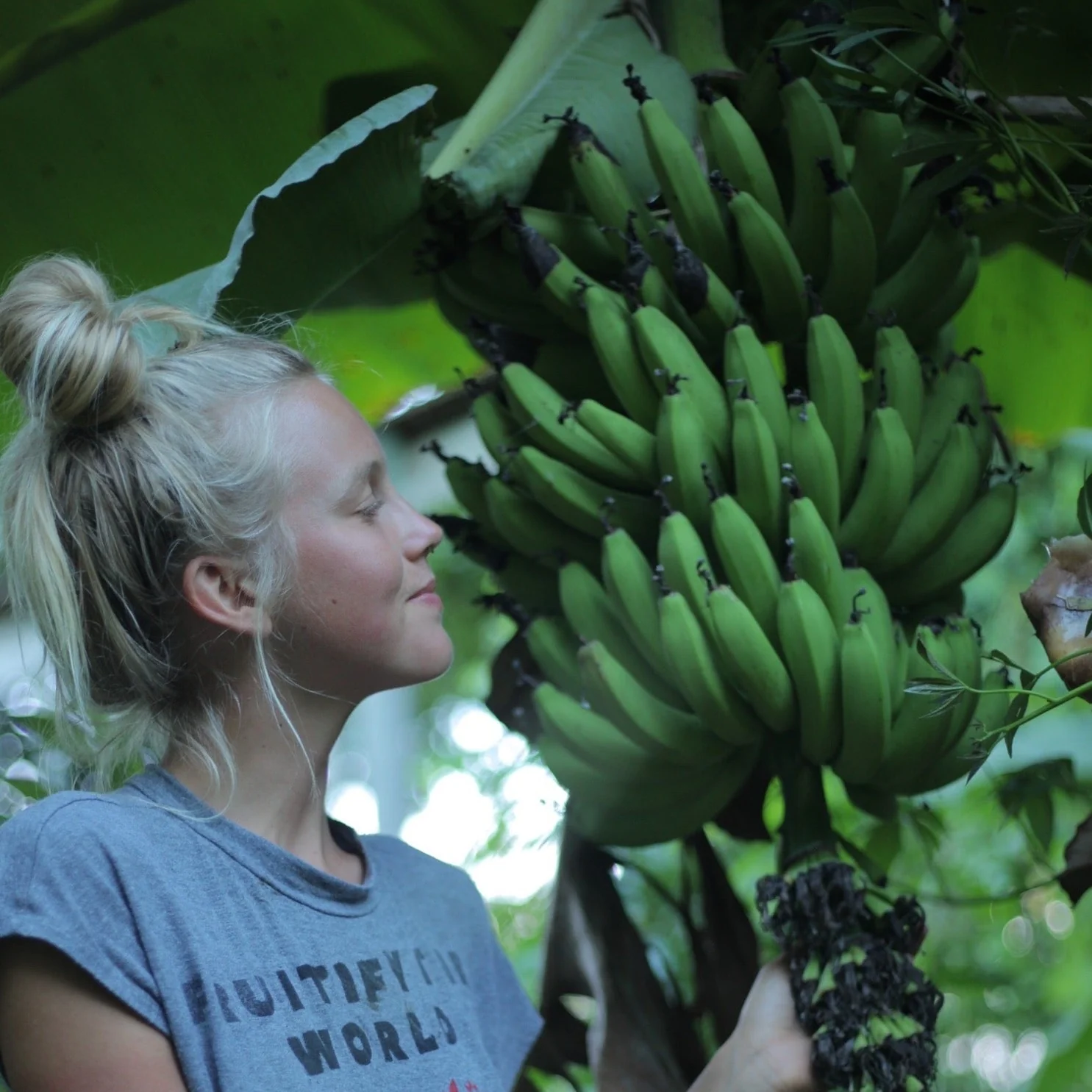Banana Variety Box - Image 19