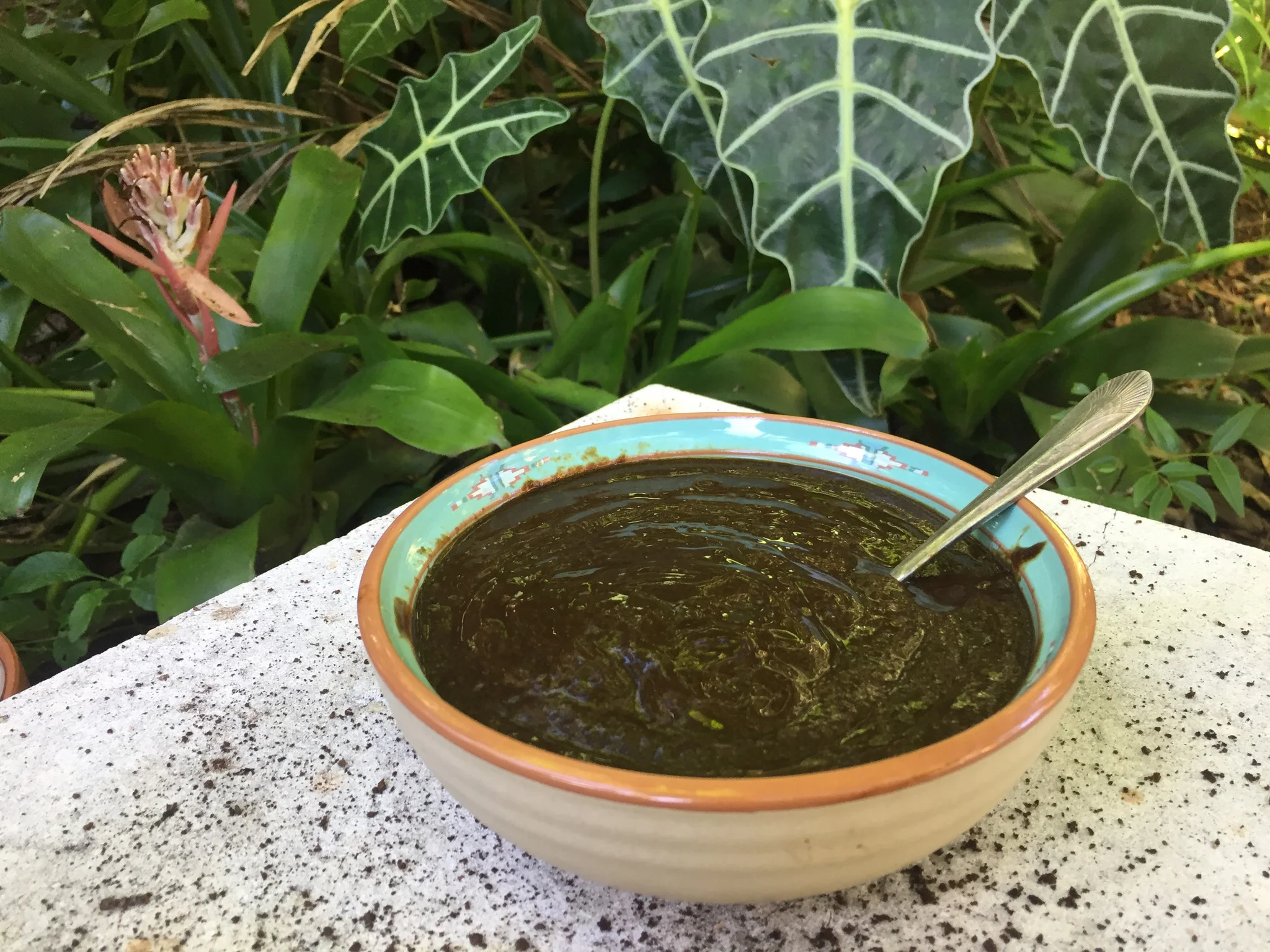 Black Sapote *Pre-Order* - Image 10