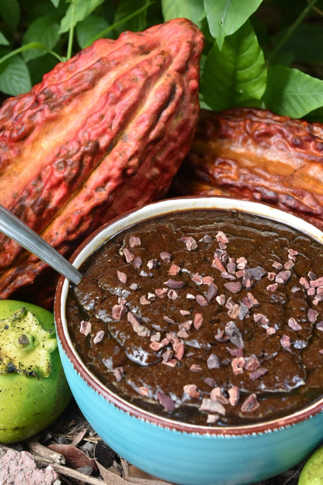 Black Sapote *Pre-Order* - Image 12