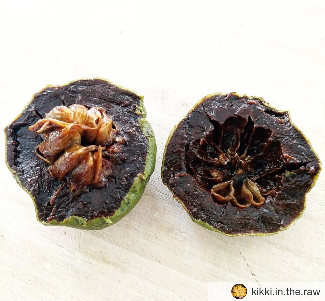 Black Sapote *Pre-Order* - Image 14