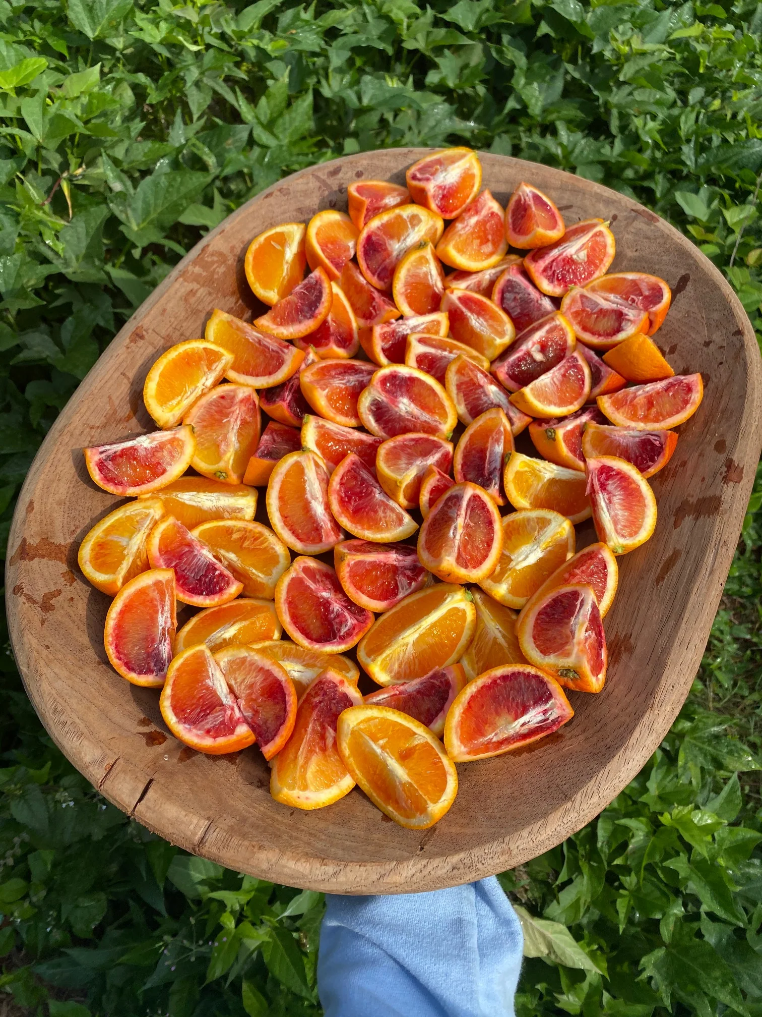 Blood Orange *Pre-Order* - Image 5