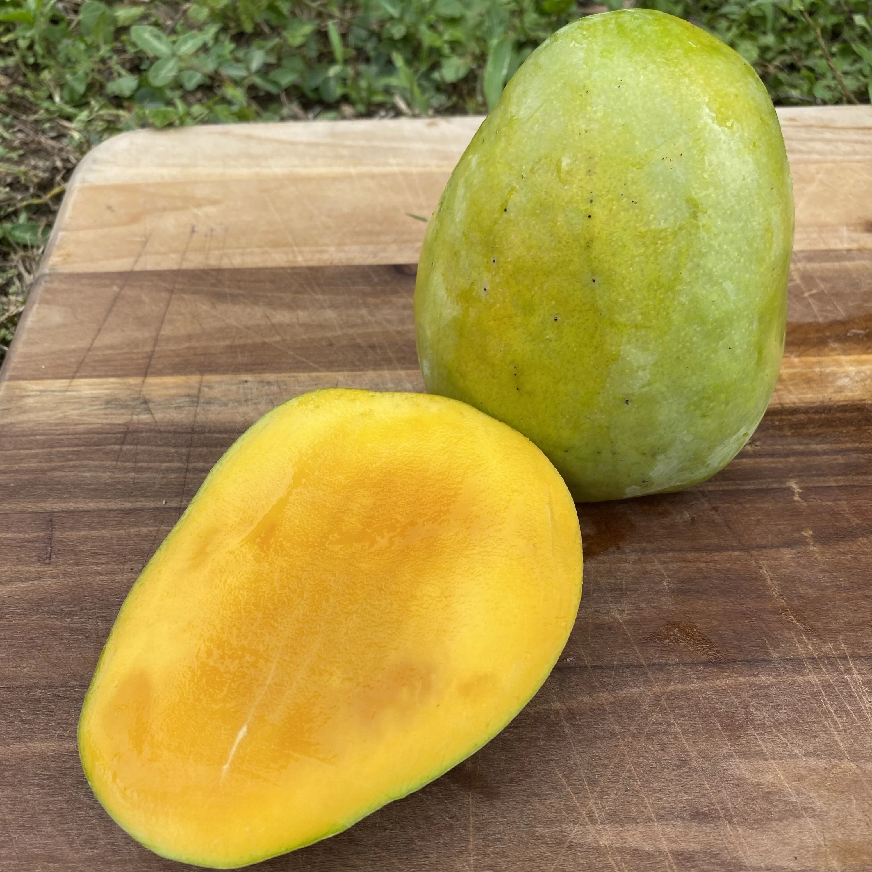Buttercream Mango *Pre-Order* - Image 8