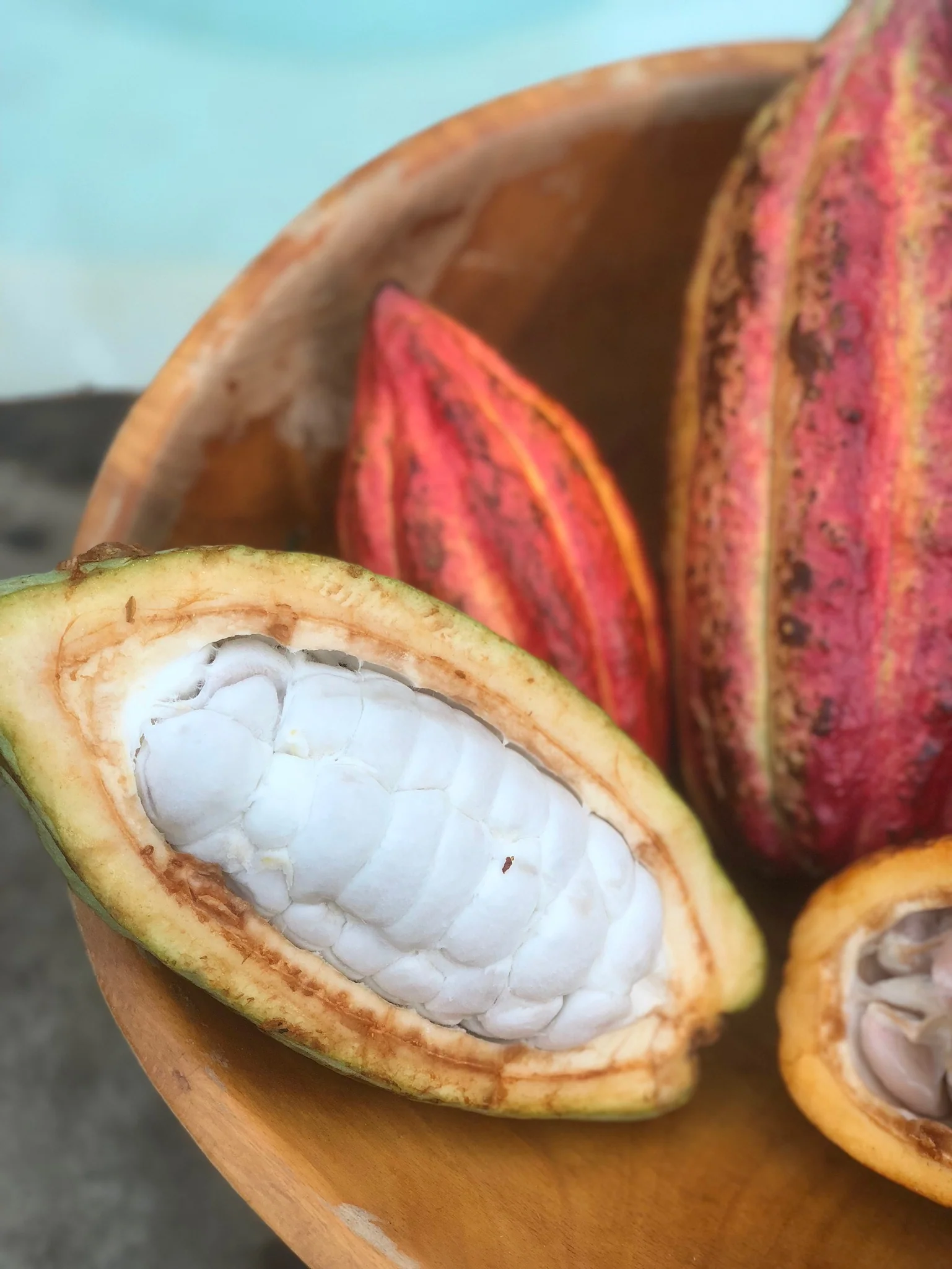 Cacao (Chocolate) - Image 20