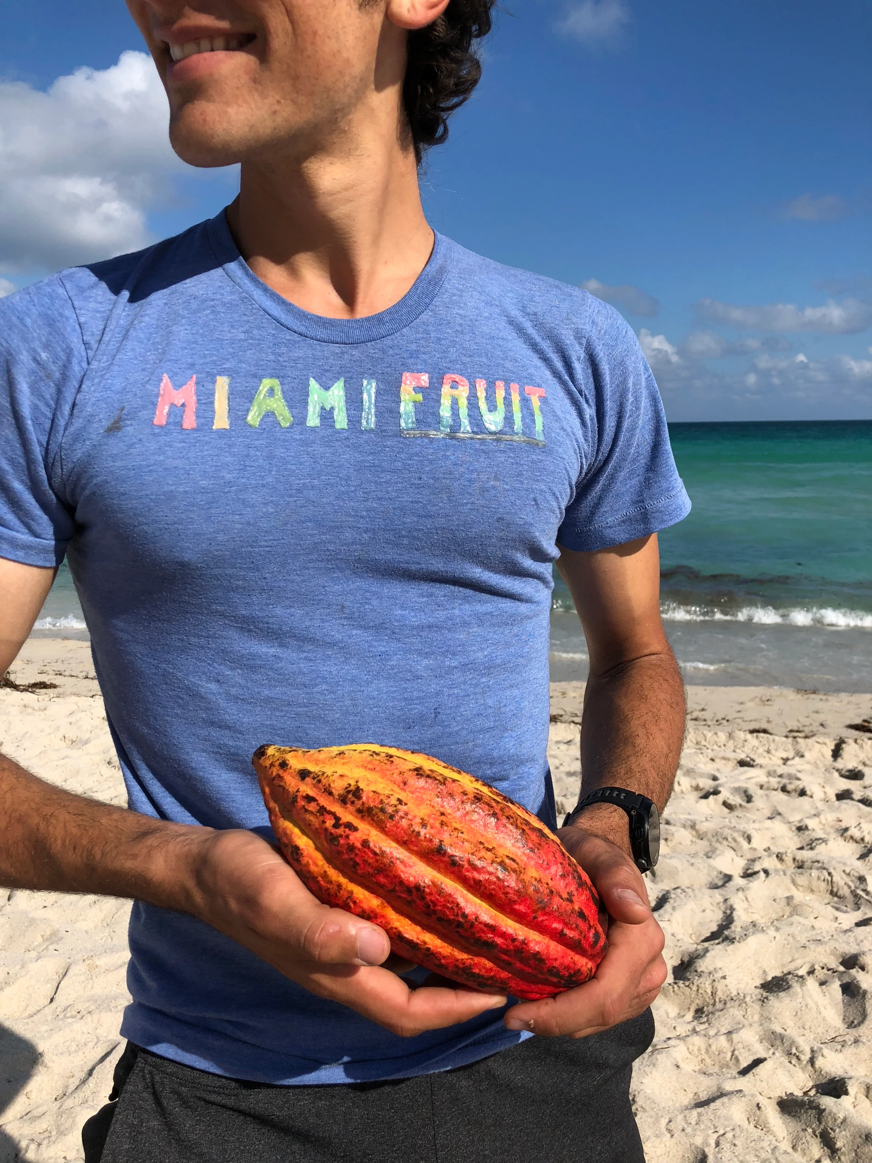 Cacao (Chocolate) - Image 28