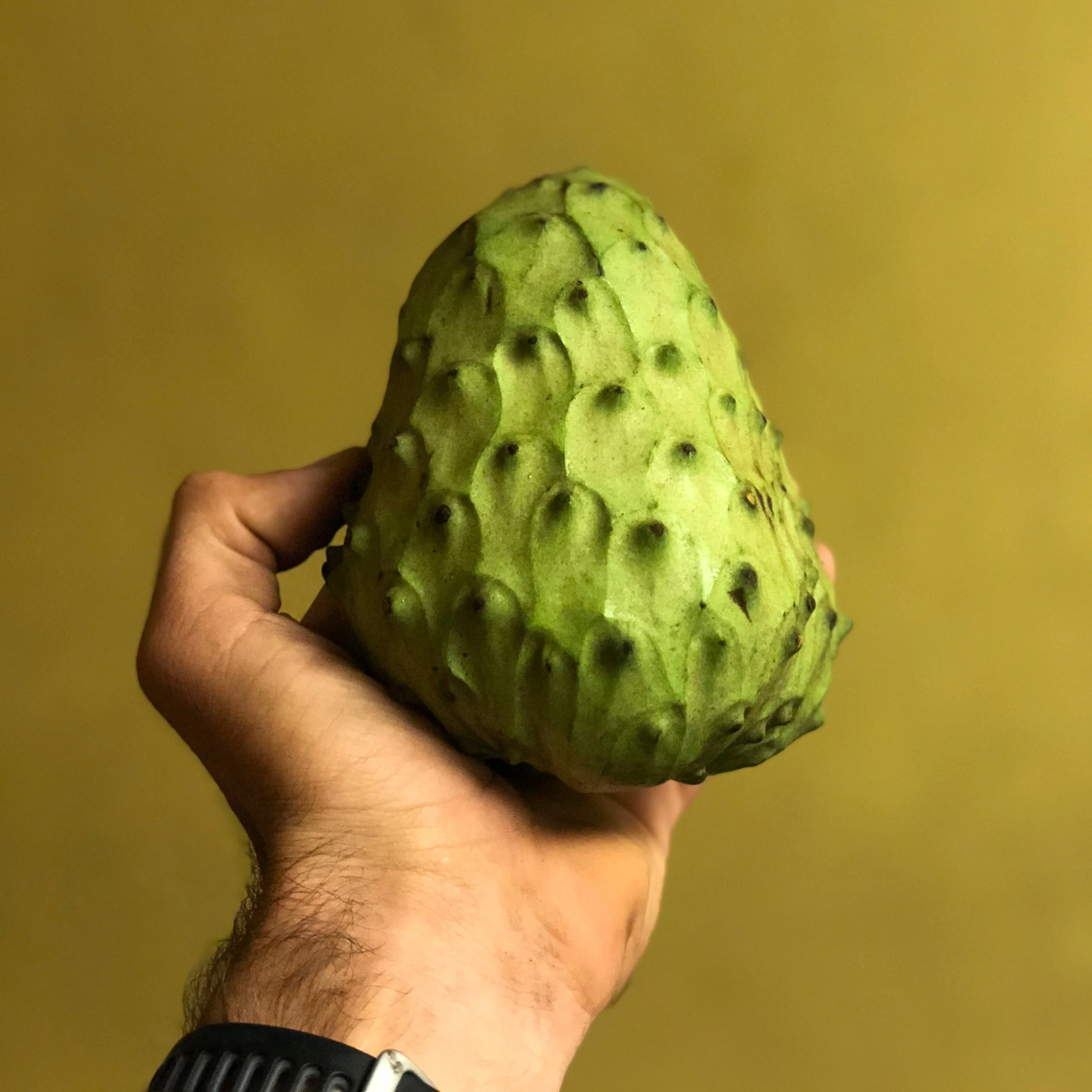 Cherimoya *LIMITED* - Image 8