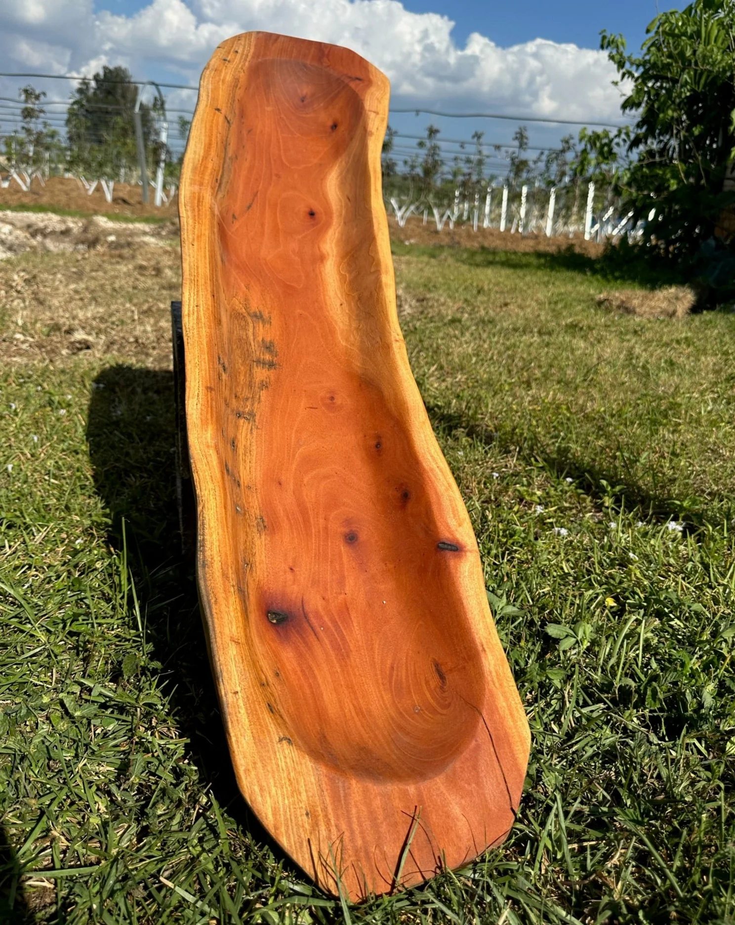 41" MAHOGANY Hand Carved Artisan Bowl