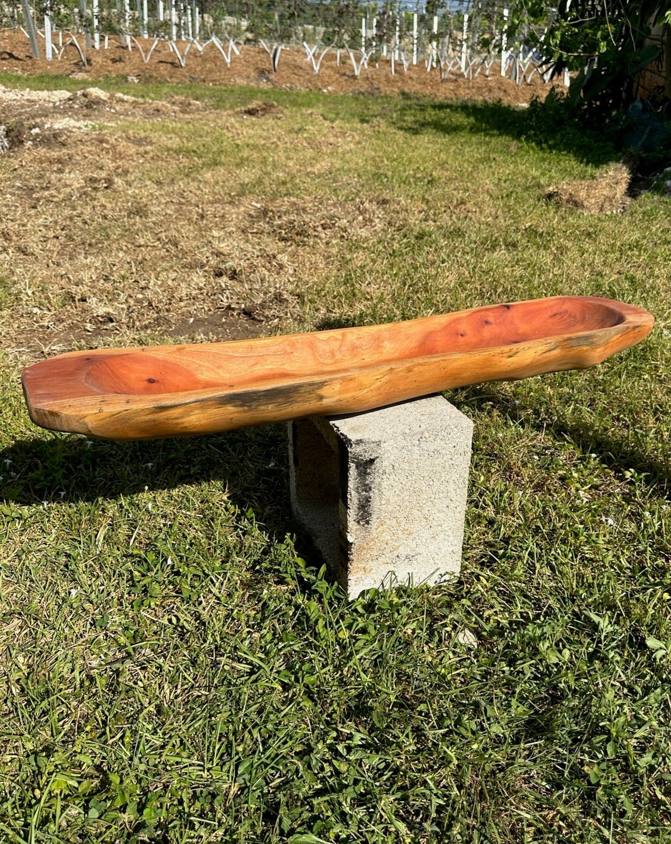 41" MAHOGANY Hand Carved Artisan Bowl - Image 3