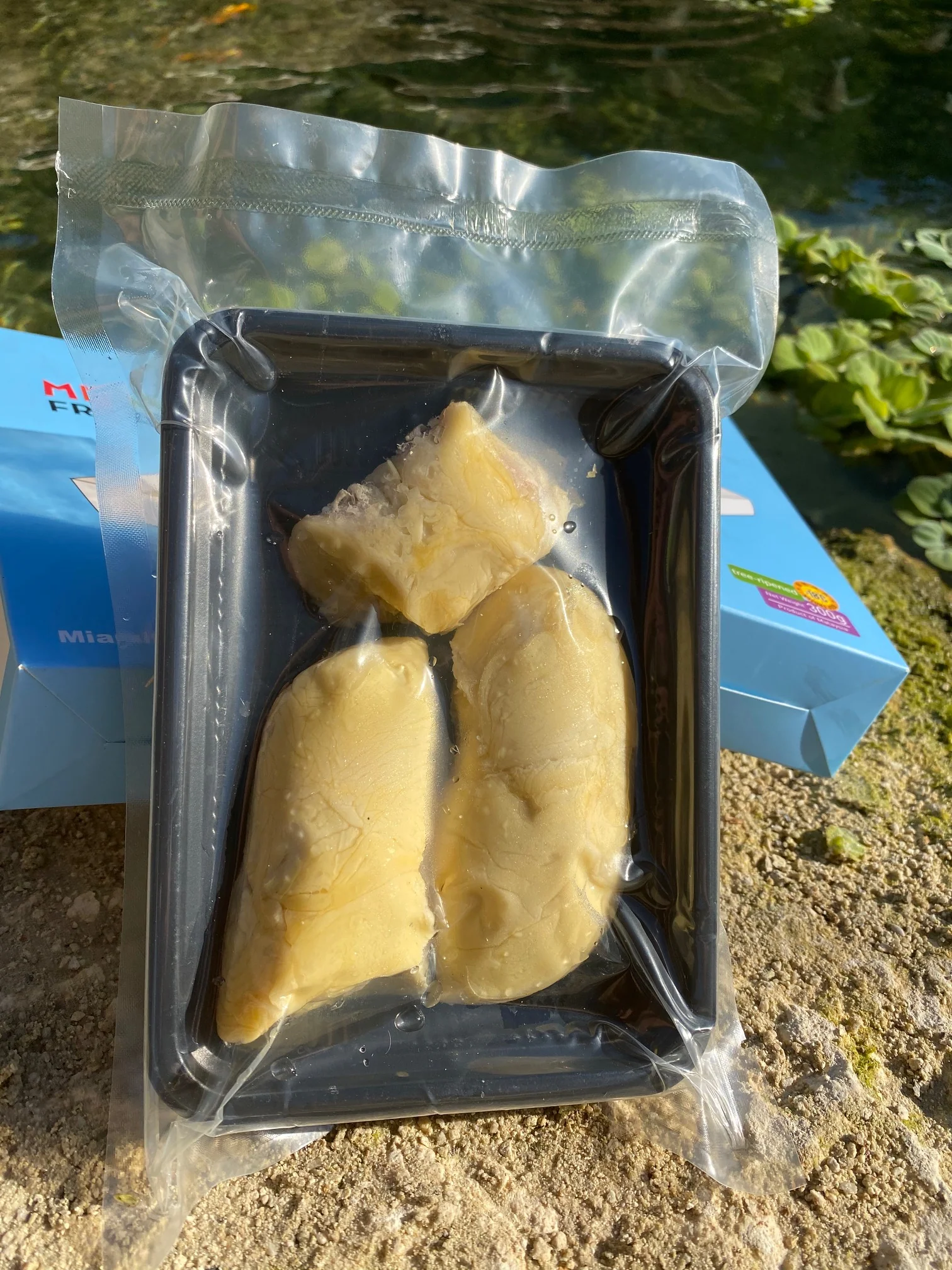 Sultan King (D24) Durian Trays *Pre-Order* - Image 5