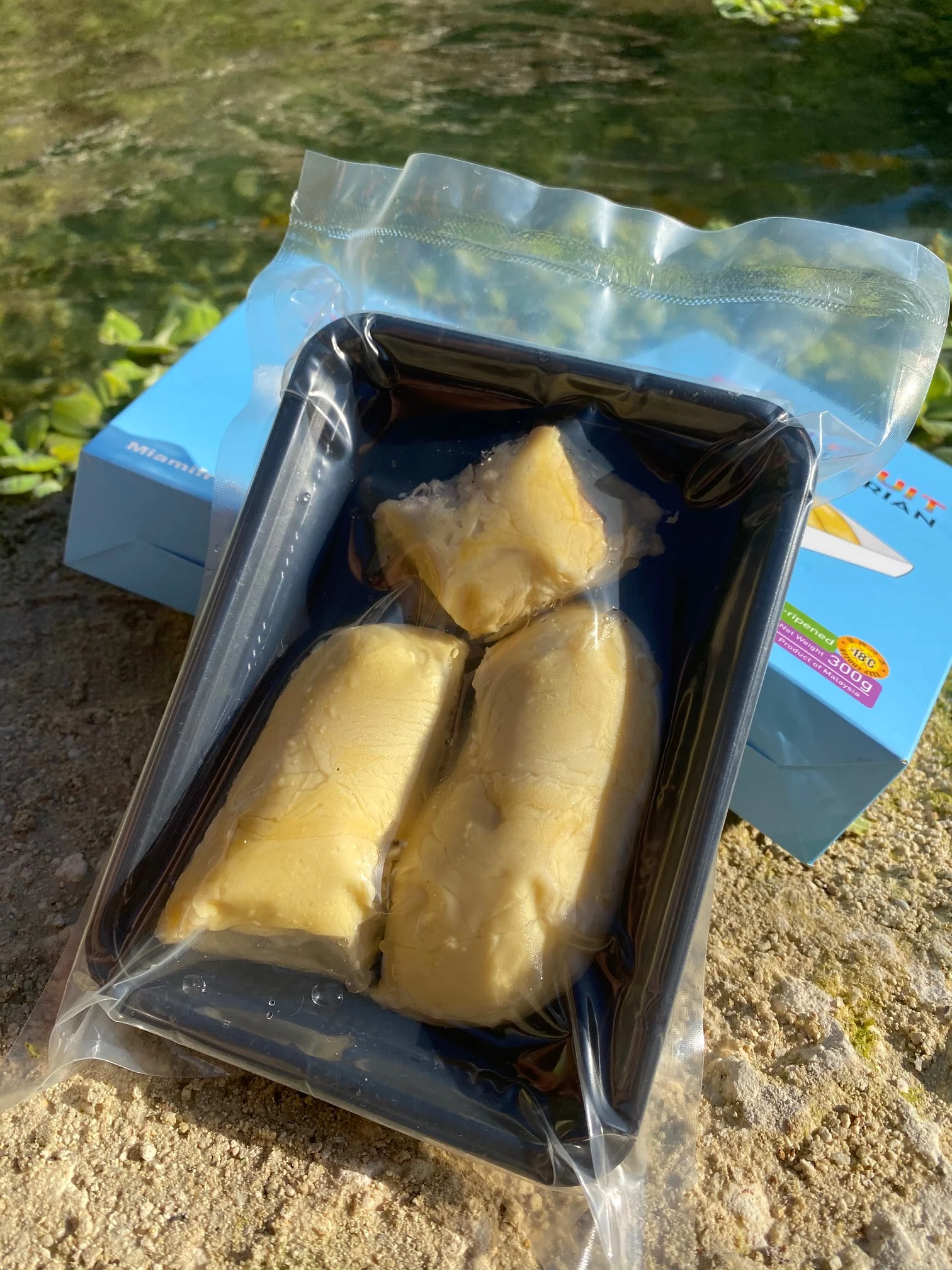 Sultan King (D24) Durian Trays *Pre-Order* - Image 7