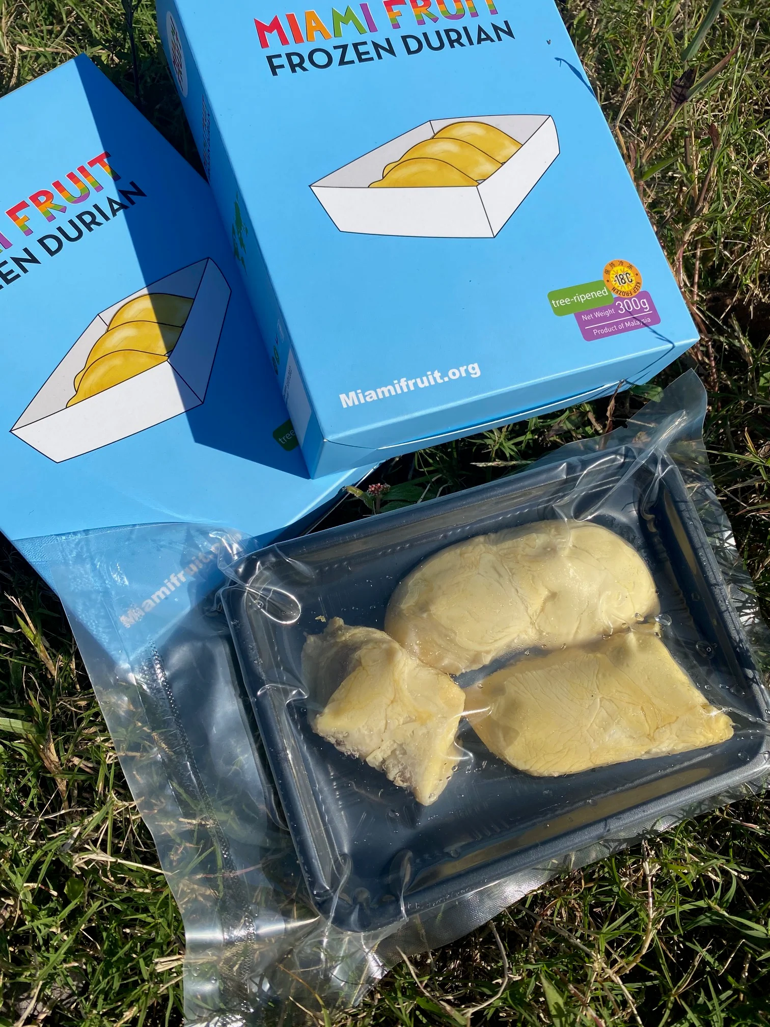 Sultan King (D24) Durian Trays *Pre-Order* - Image 8
