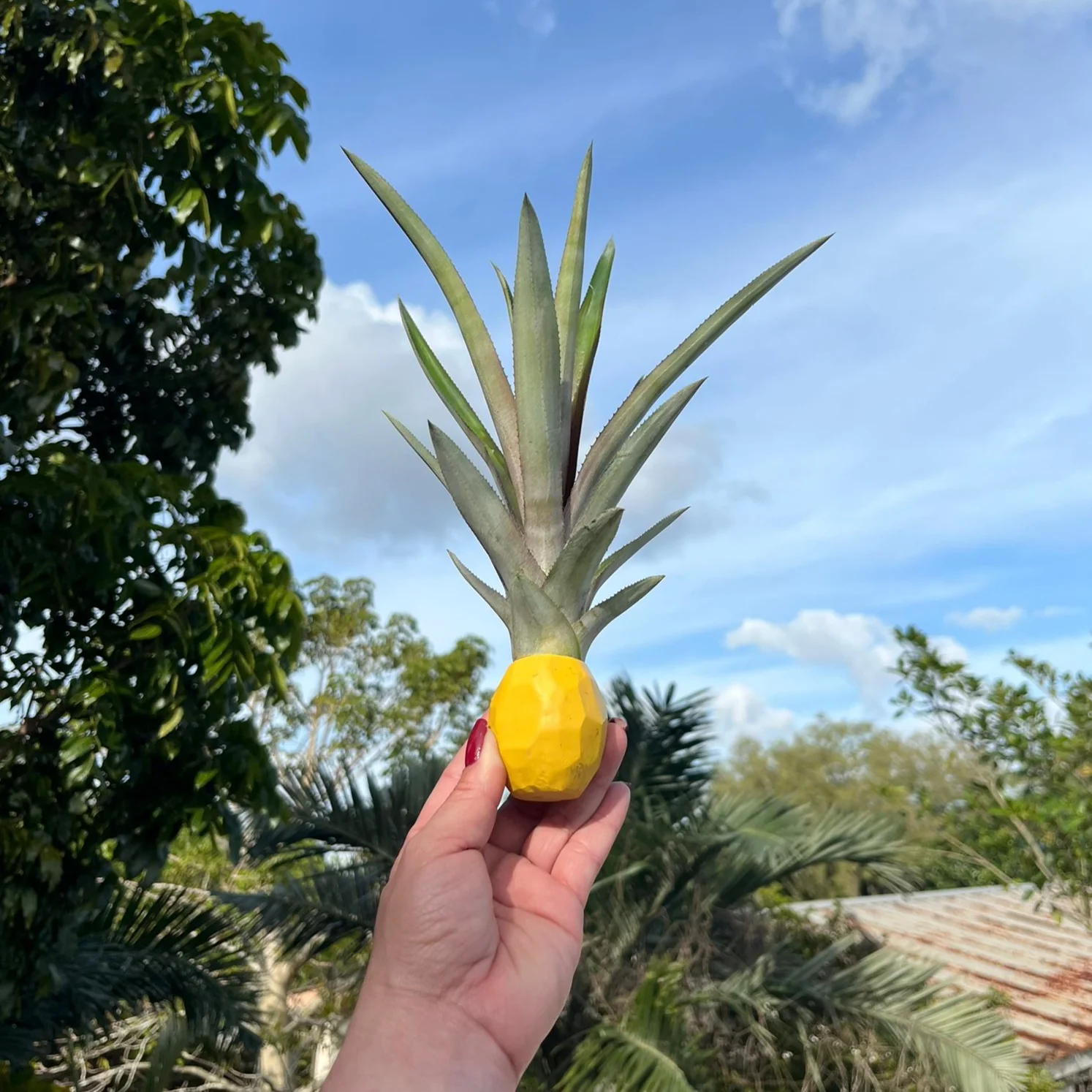 Decorative Stick-On Potted Pineapple Top - Image 4