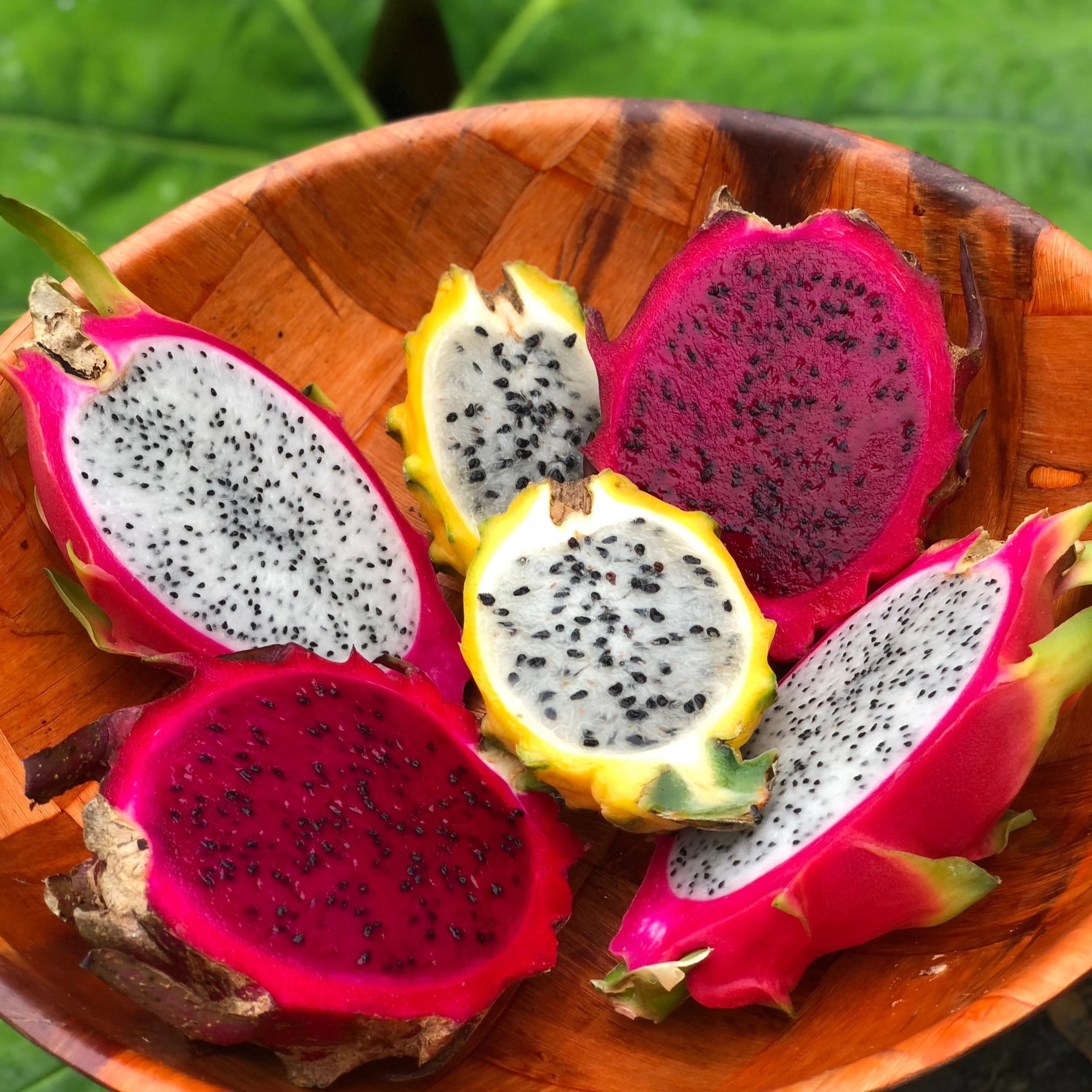 Dragonfruit Mix Box - Image 4