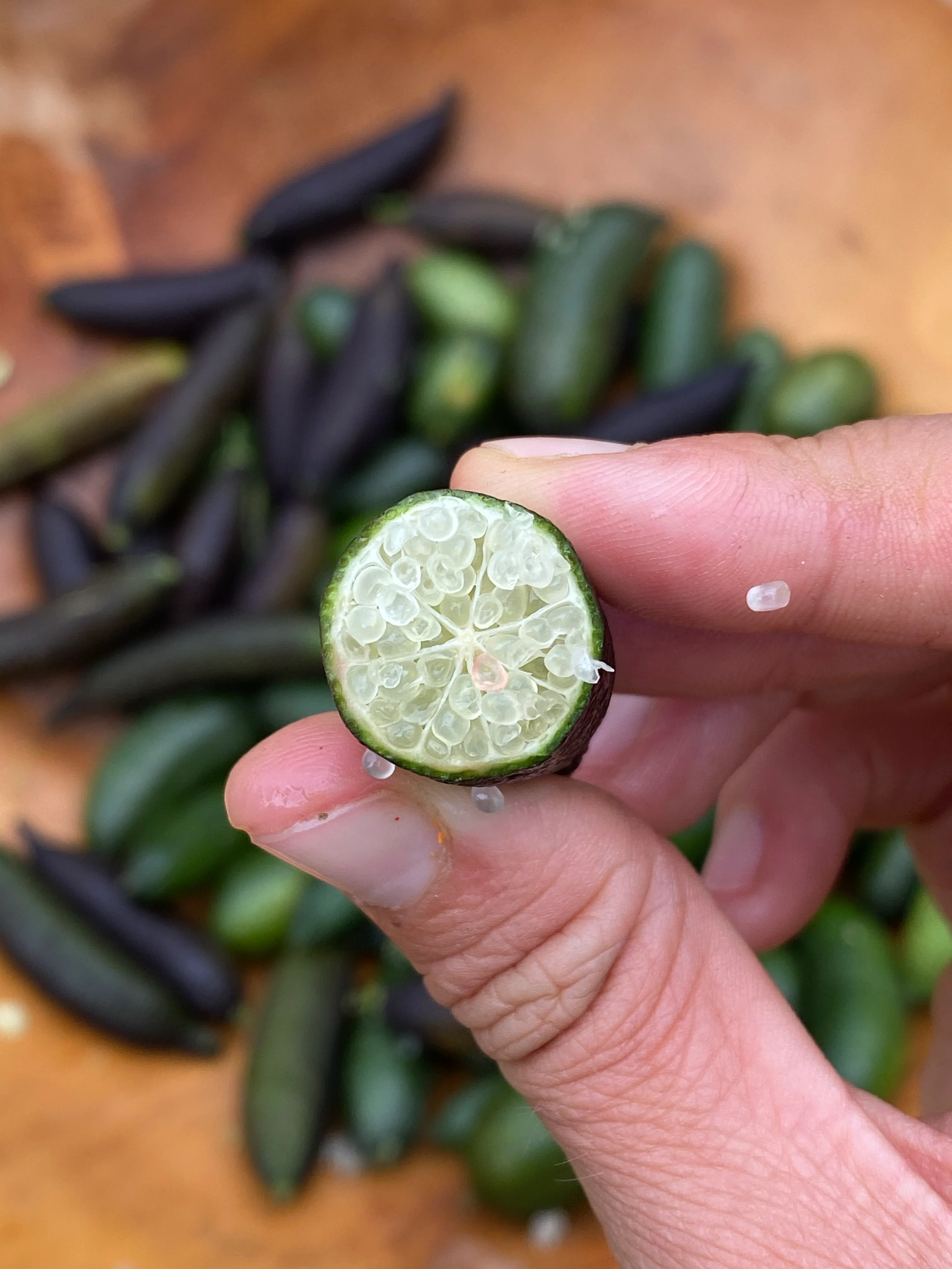 Caviar Lime (Finger Lime) - Image 14