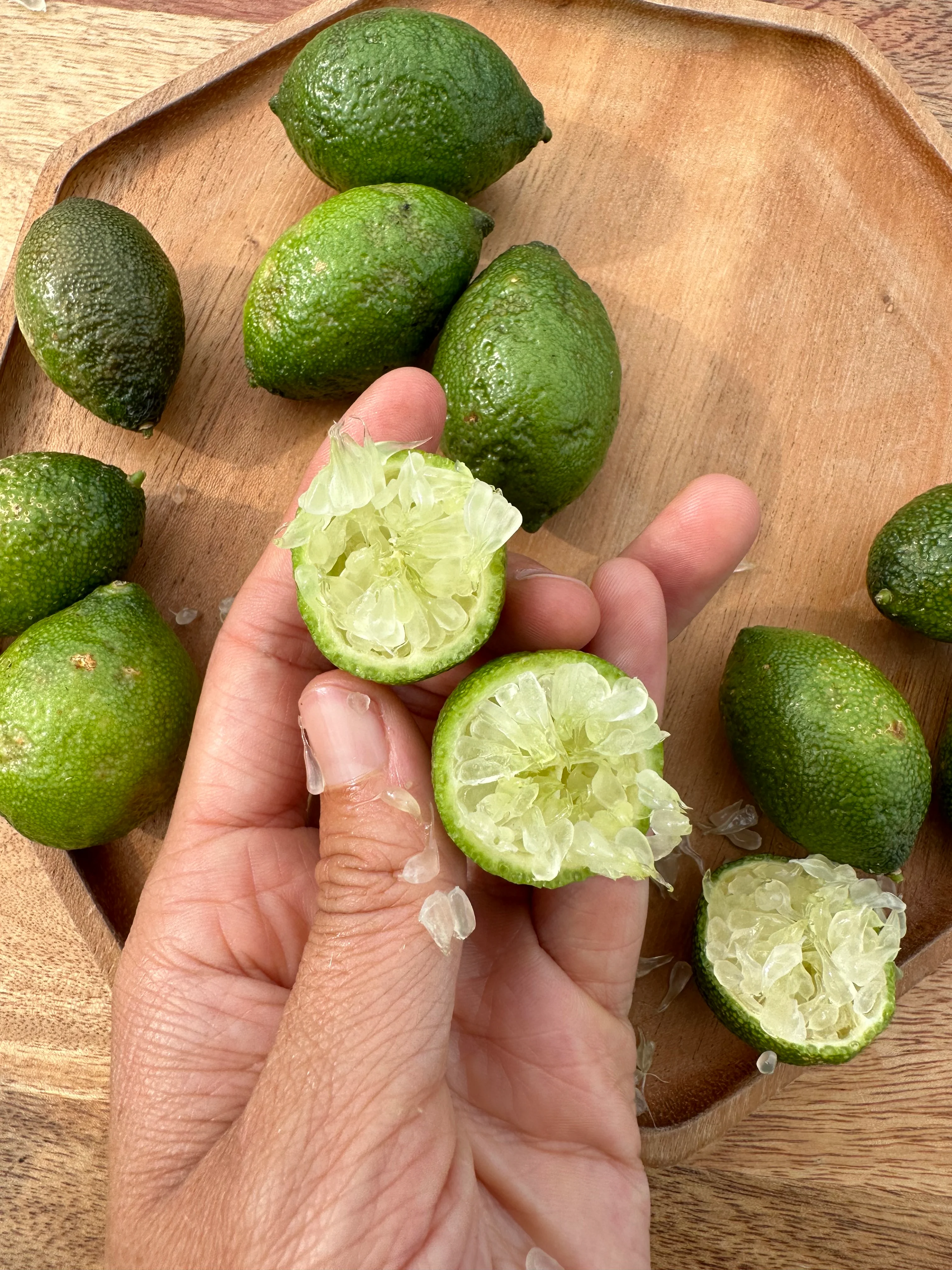 Caviar Lime (Finger Lime) - Image 16