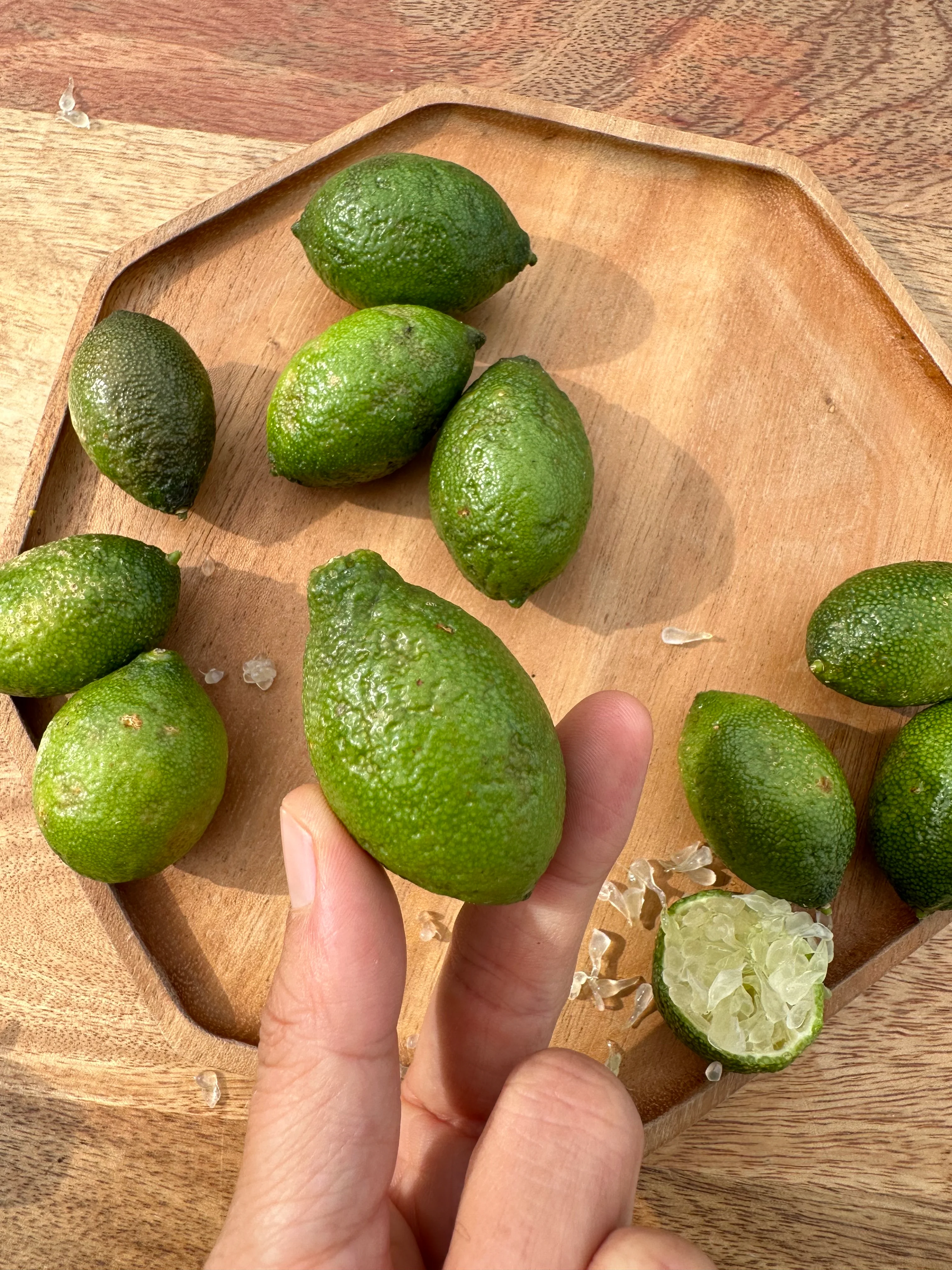 Caviar Lime (Finger Lime) - Image 17