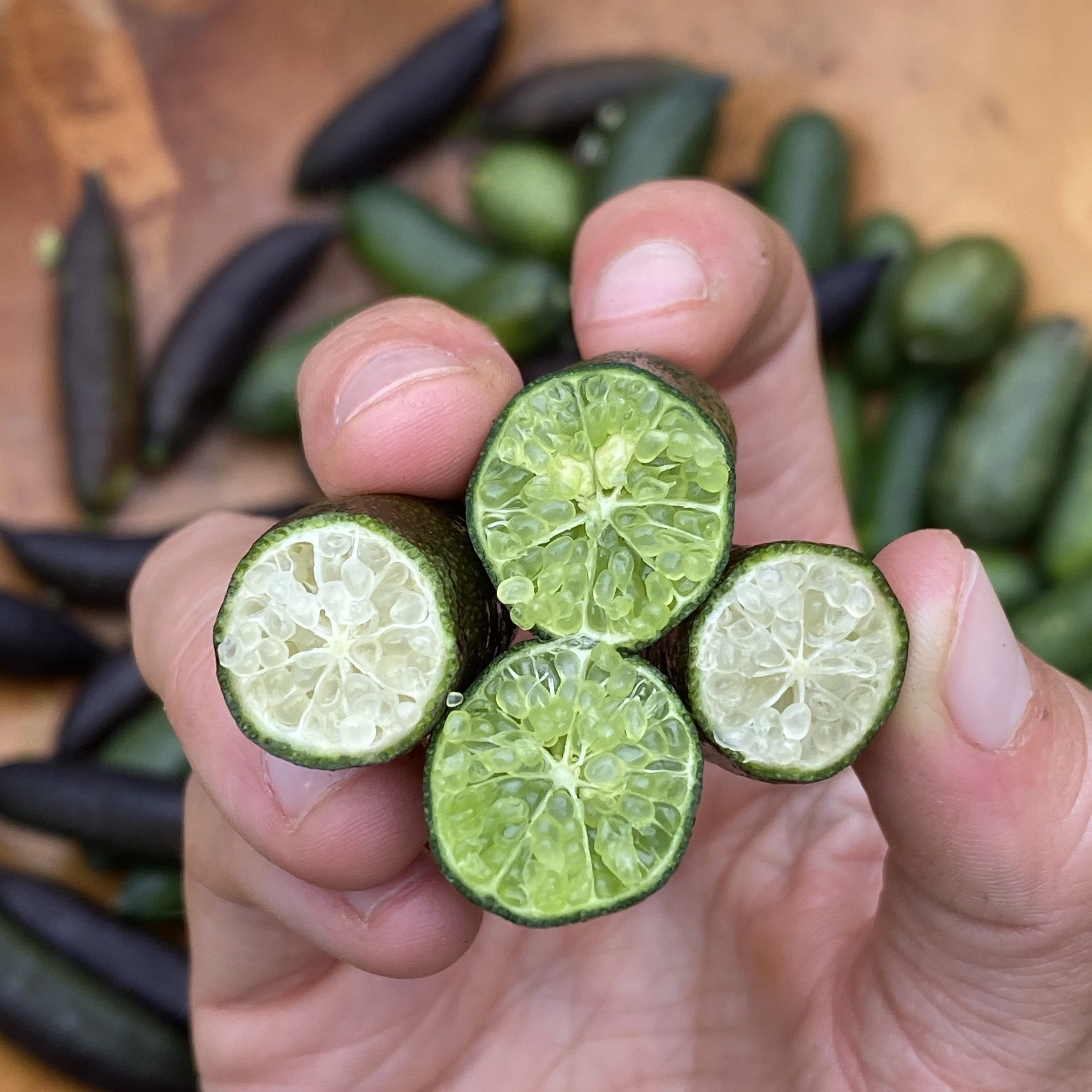 Caviar Lime (Finger Lime) - Image 7