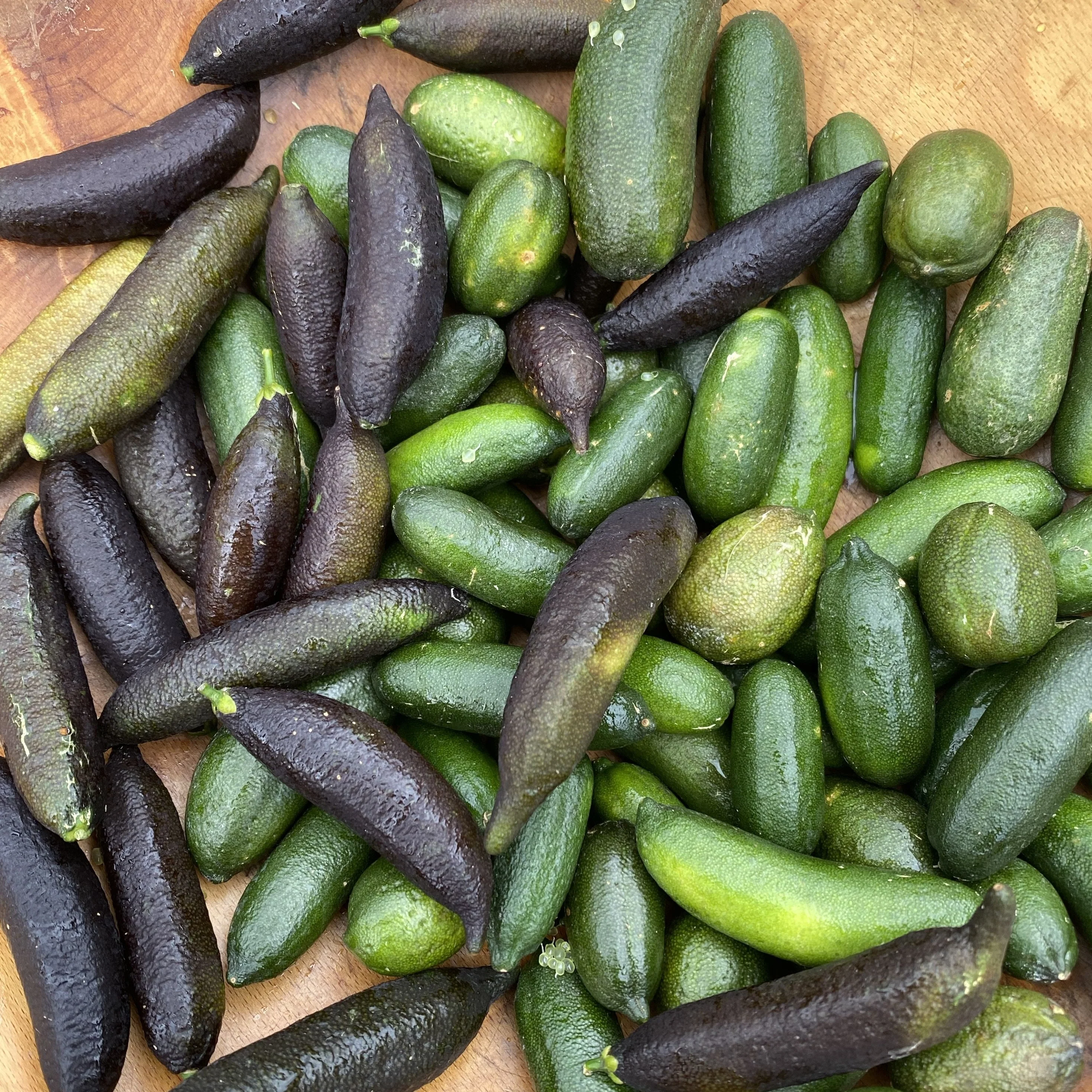 Caviar Lime (Finger Lime) - Image 8