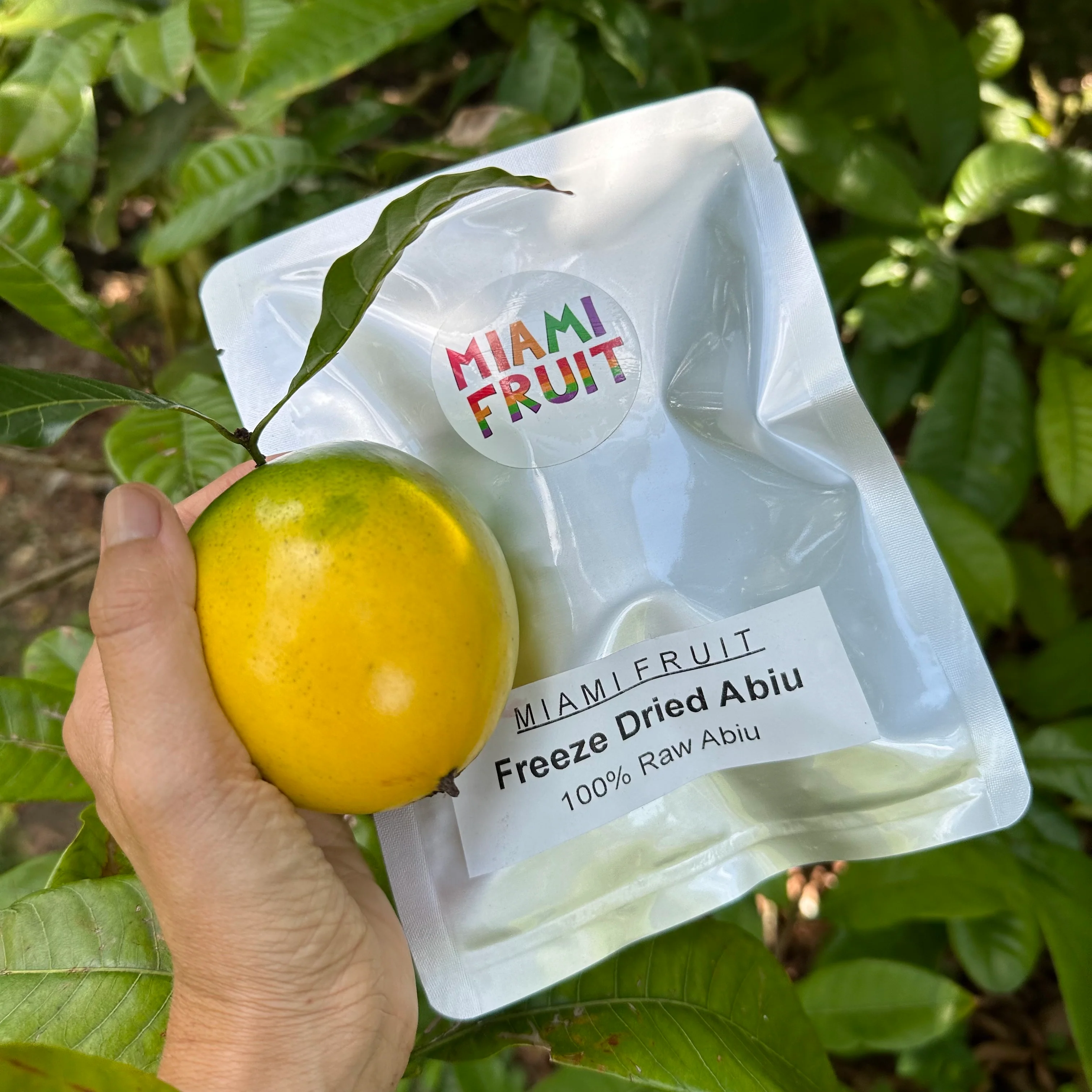 Freeze Dried Abiu