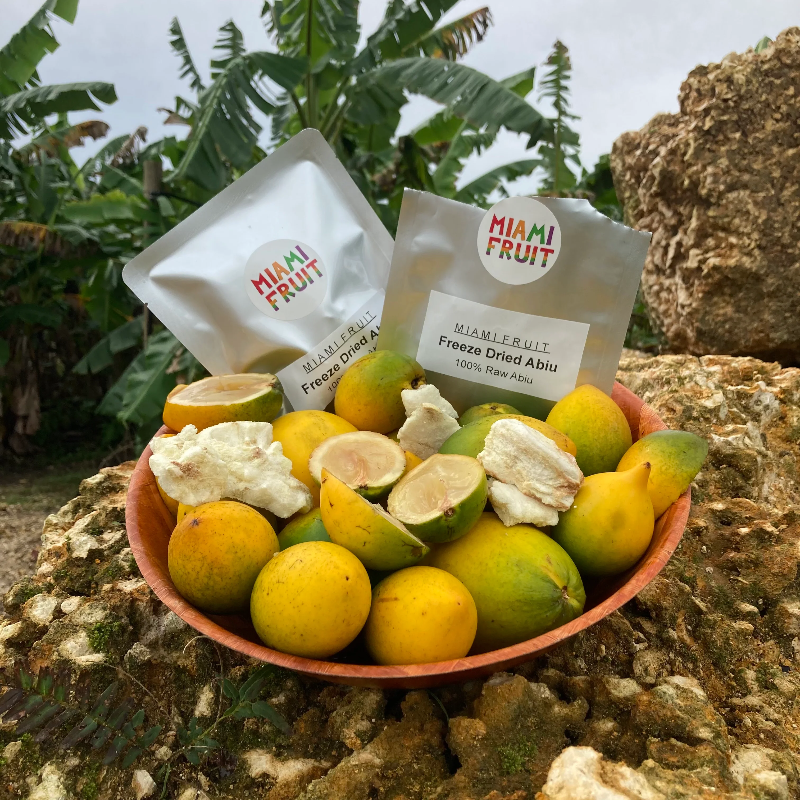 Freeze Dried Abiu - Image 2