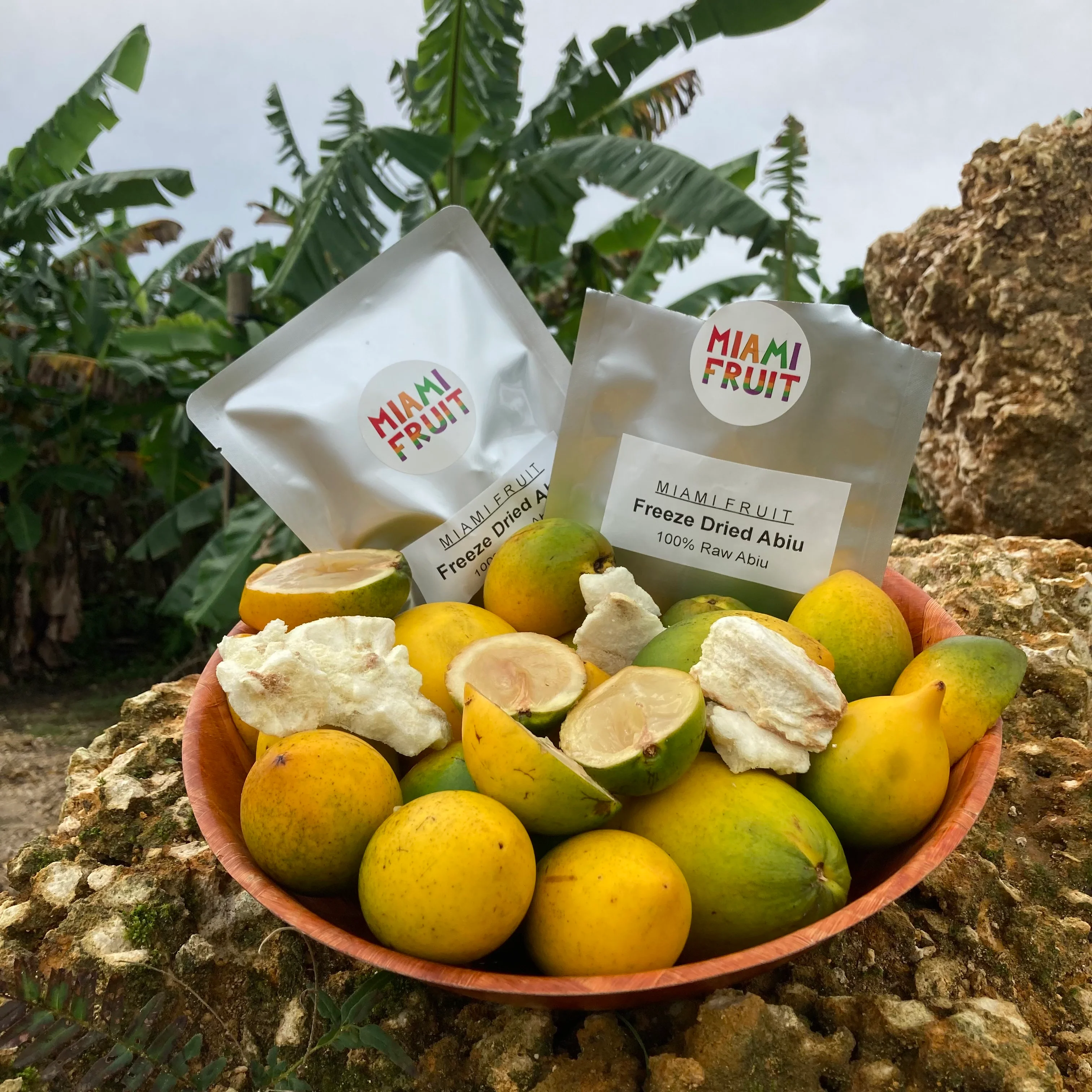 Freeze Dried Abiu - Image 3