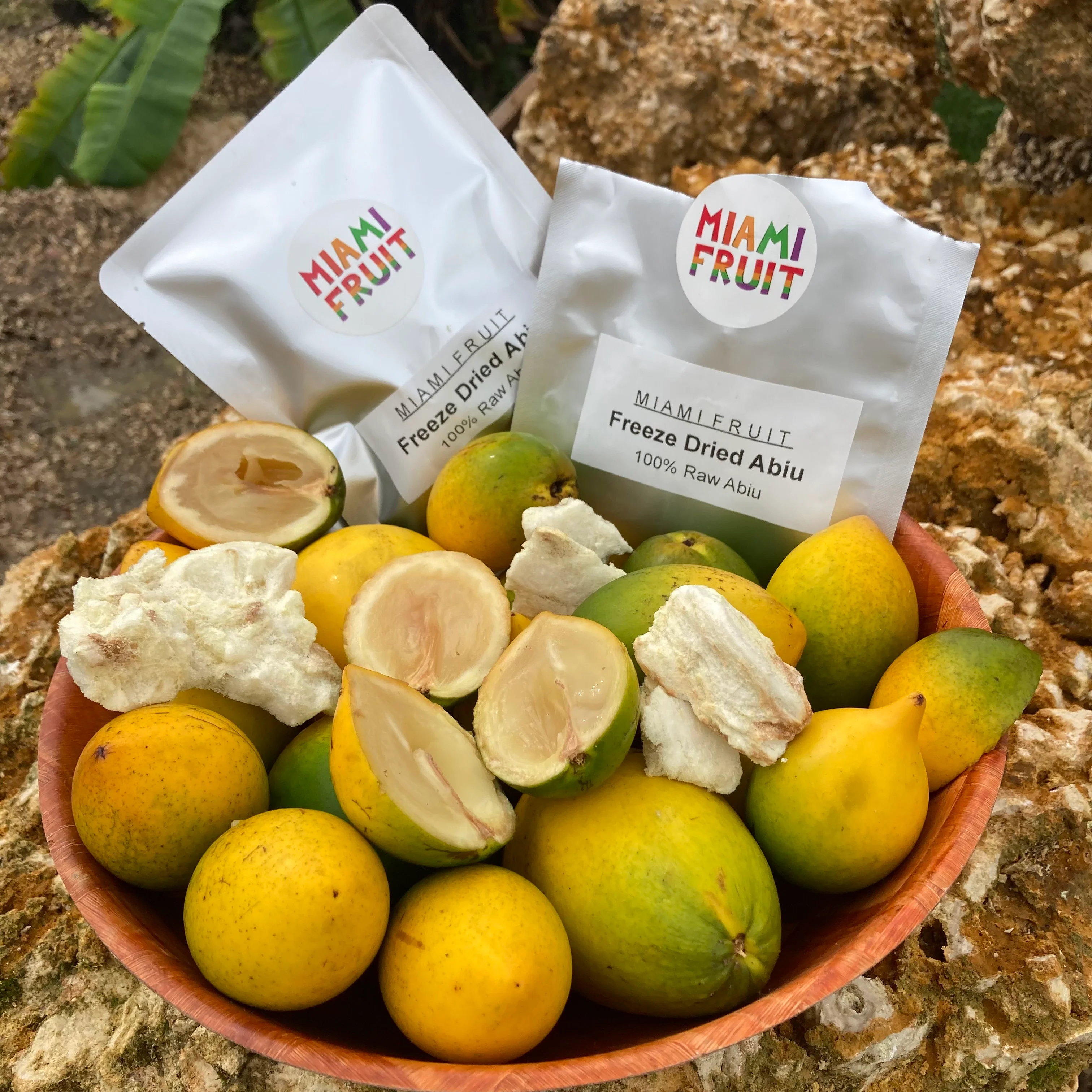 Freeze Dried Abiu - Image 4