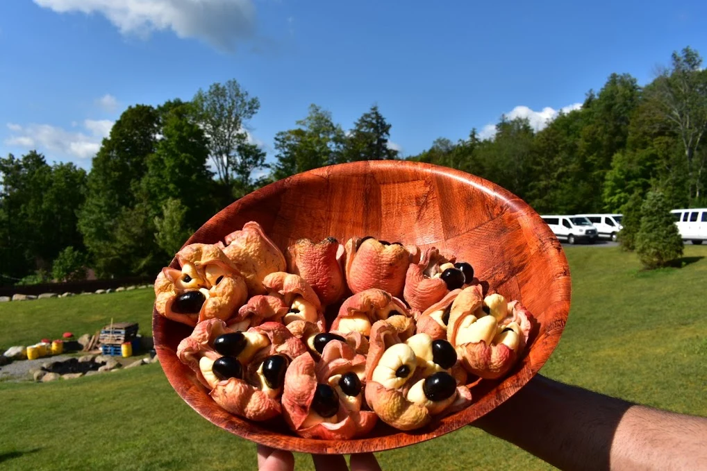 Freeze Dried Ackee - Image 15