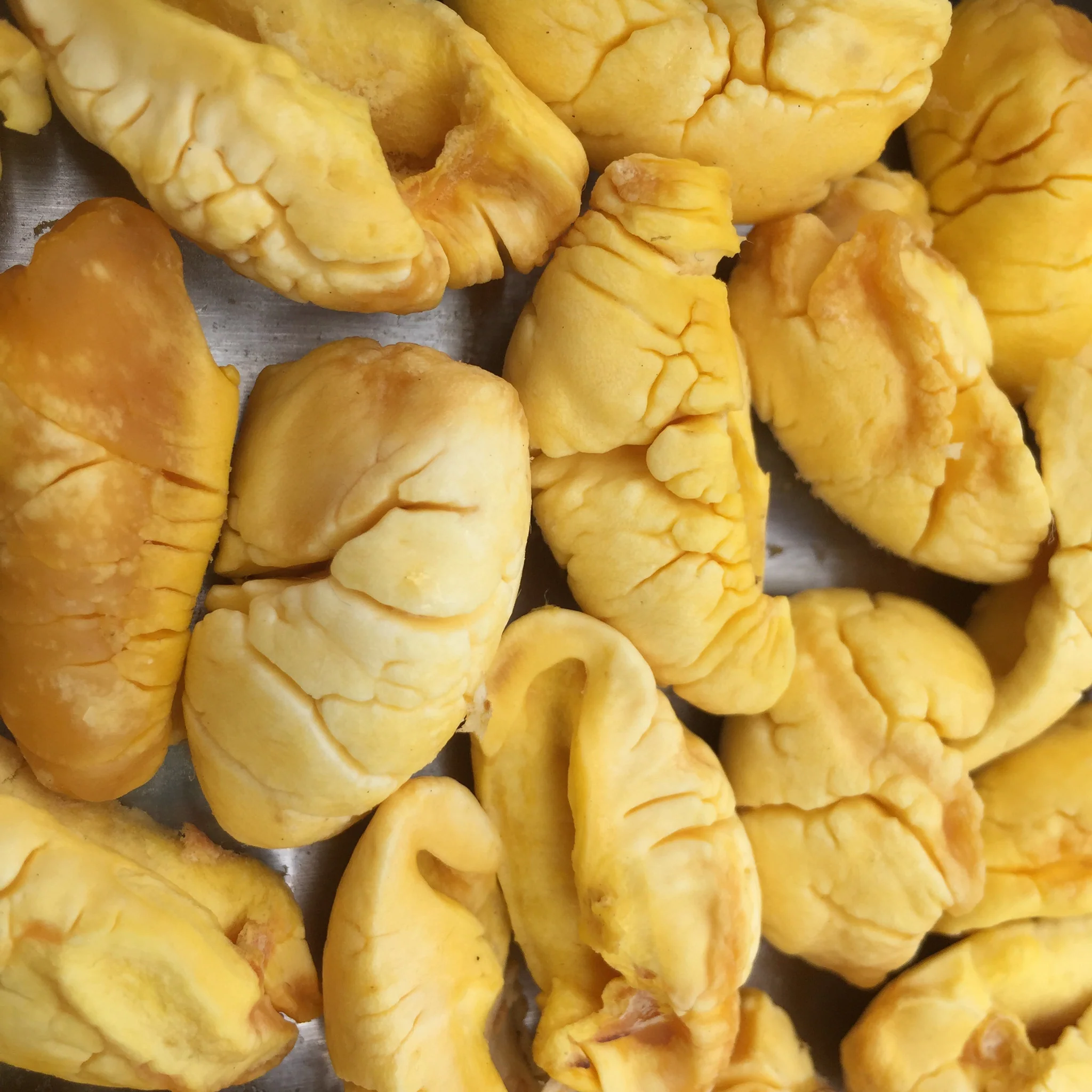 Freeze Dried Ackee - Image 6