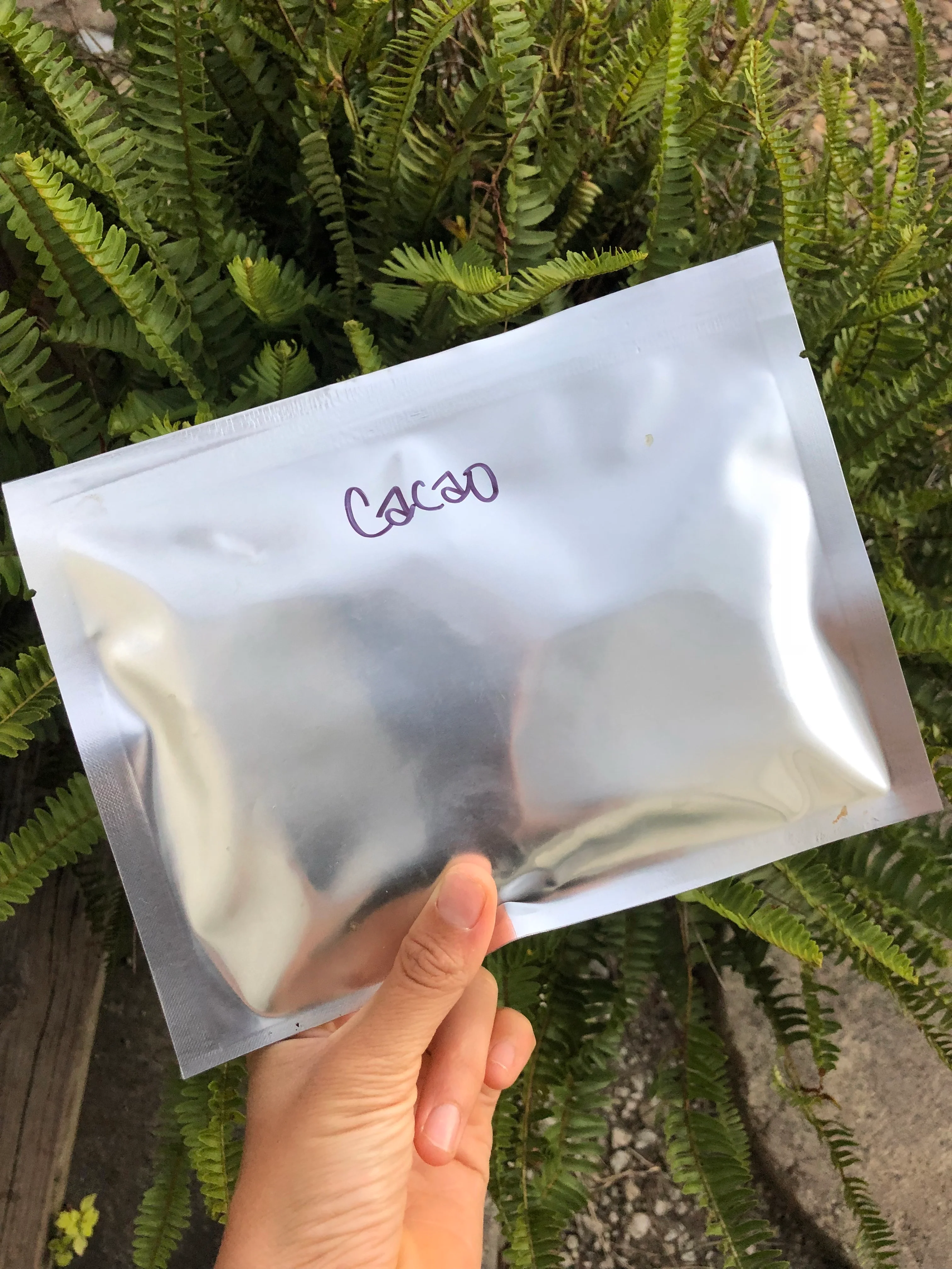Freeze Dried Cacao - Image 6