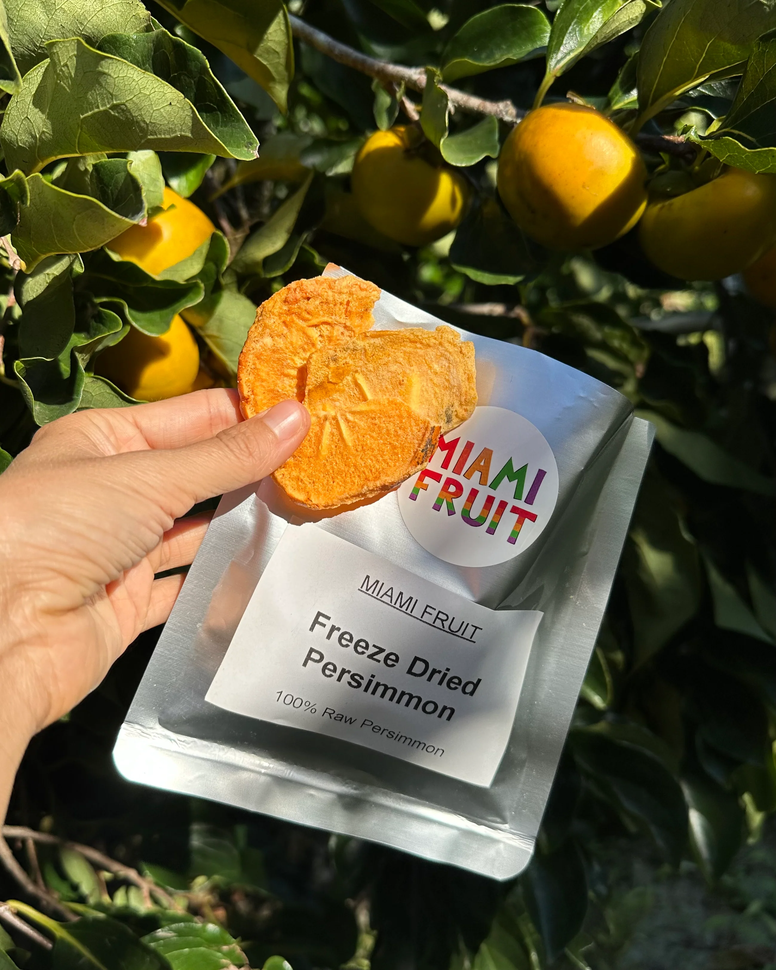 Freeze Dried Persimmon - Image 3
