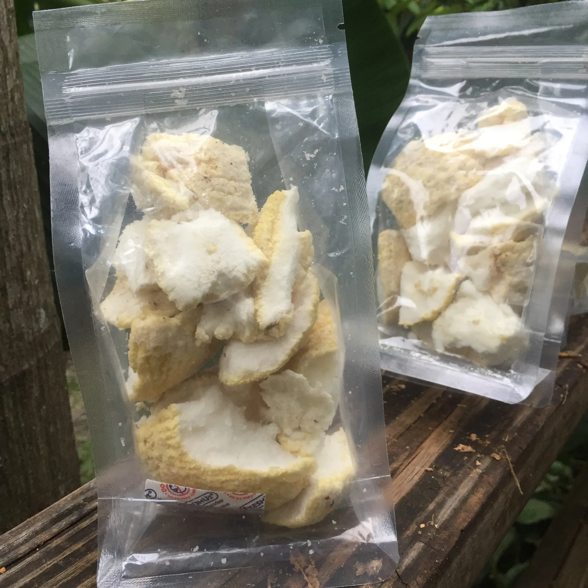 Freeze Dried Sprouted Coconut - Image 3