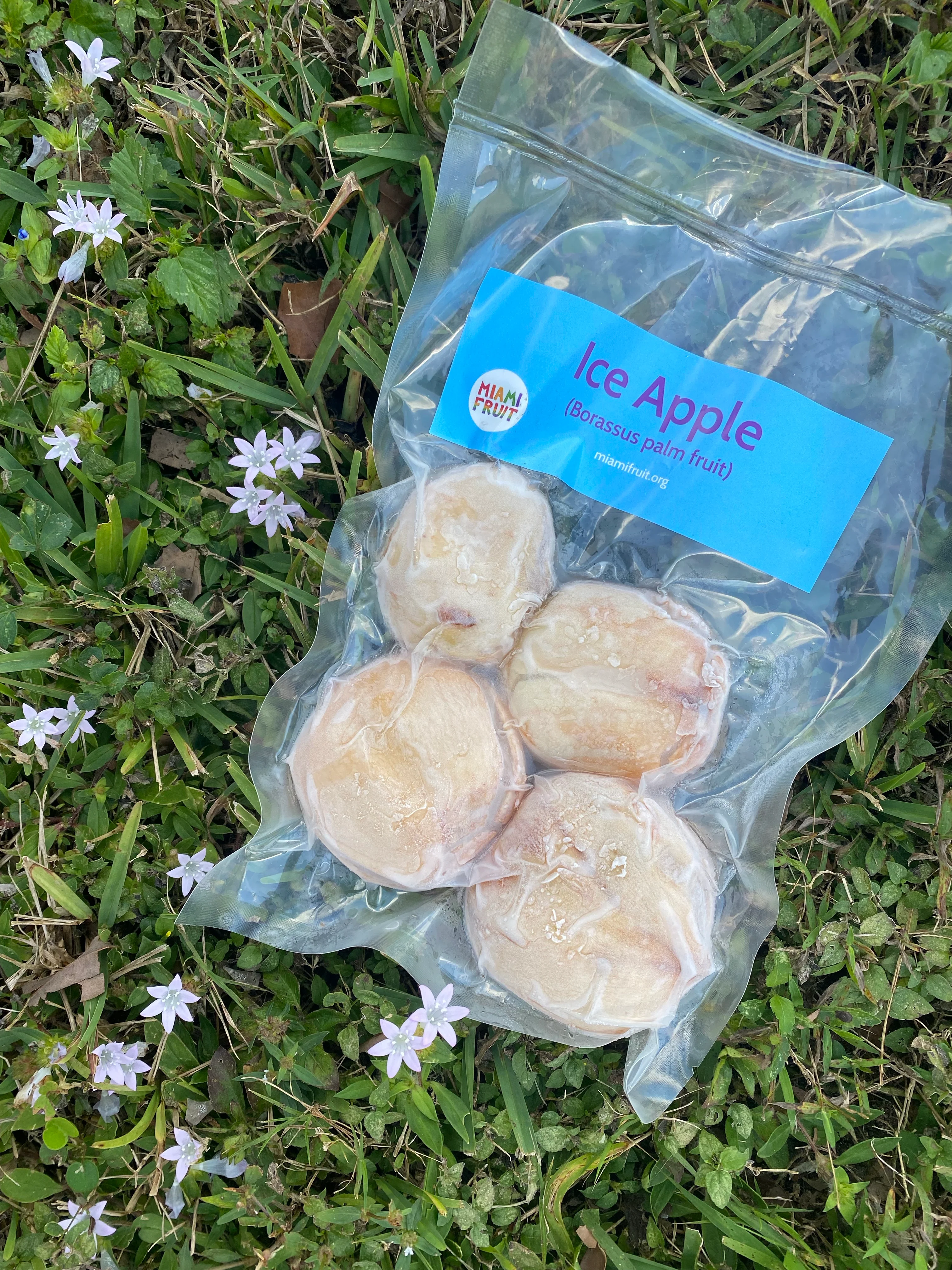 Ice Apple (Toddy Palm) - Borassus Palm Packet *Frozen* - Image 10