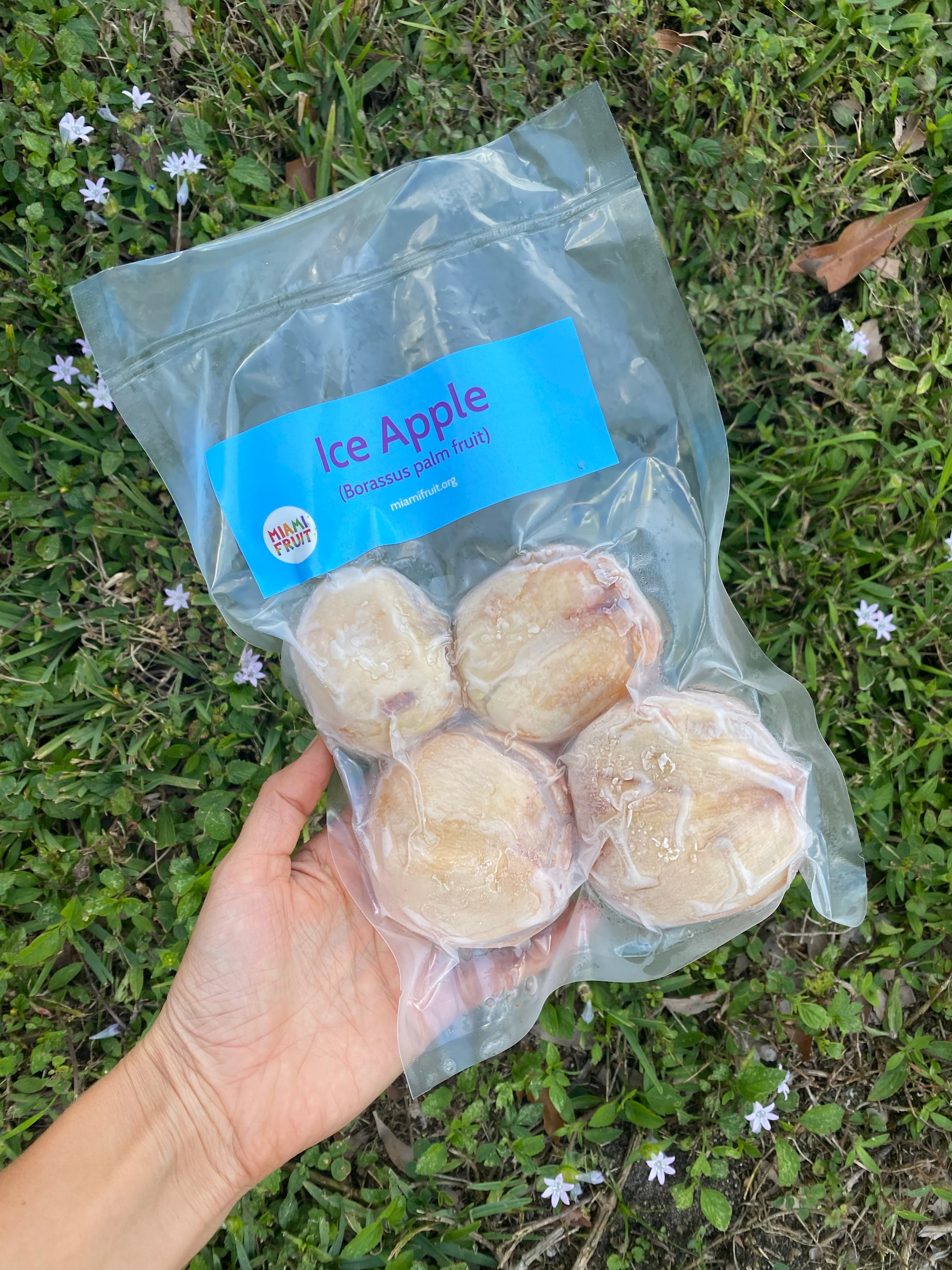 Ice Apple (Toddy Palm) - Borassus Palm Packet *Frozen* - Image 11