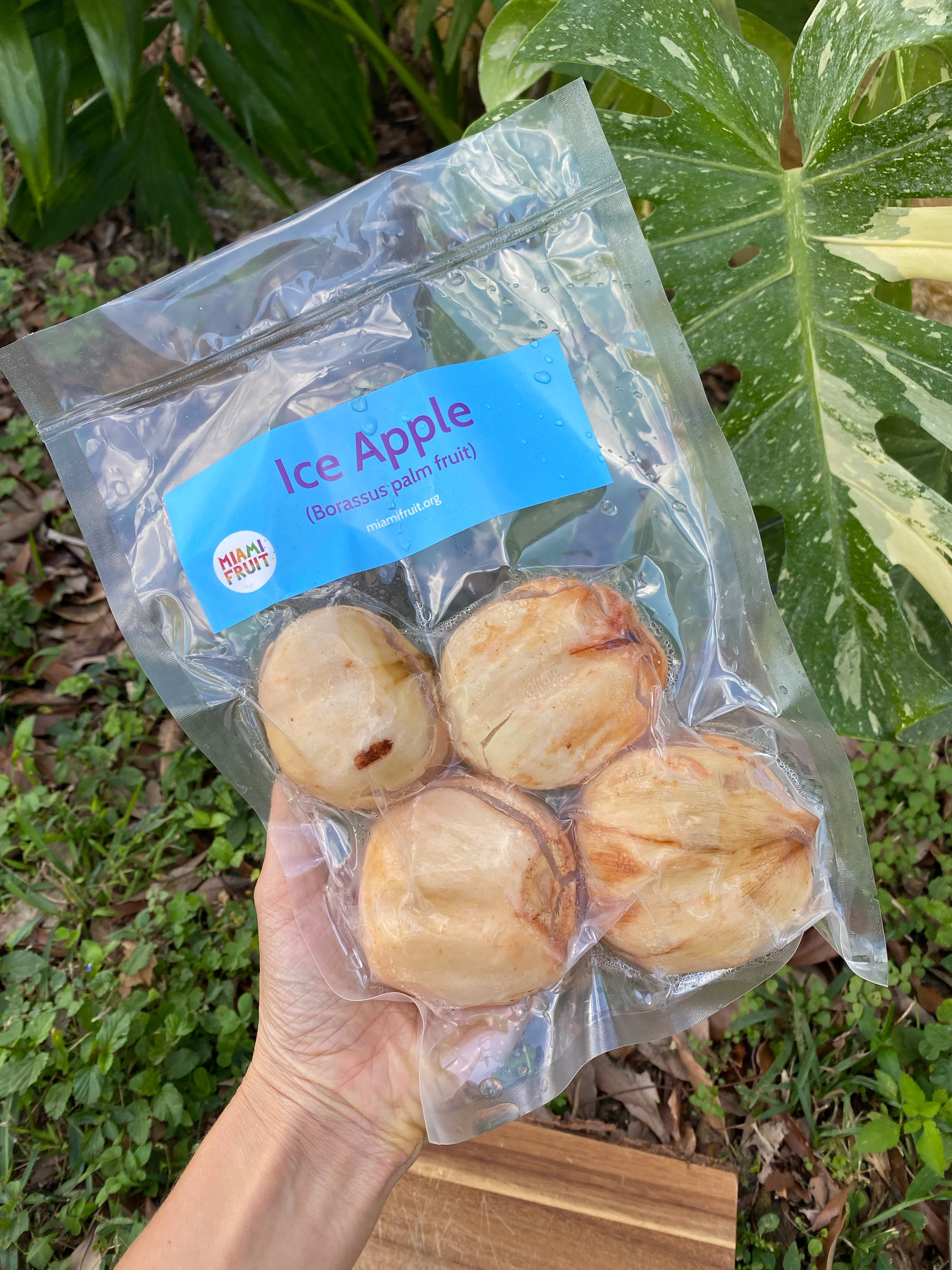 Ice Apple (Toddy Palm) - Borassus Palm Packet *Frozen* - Image 7