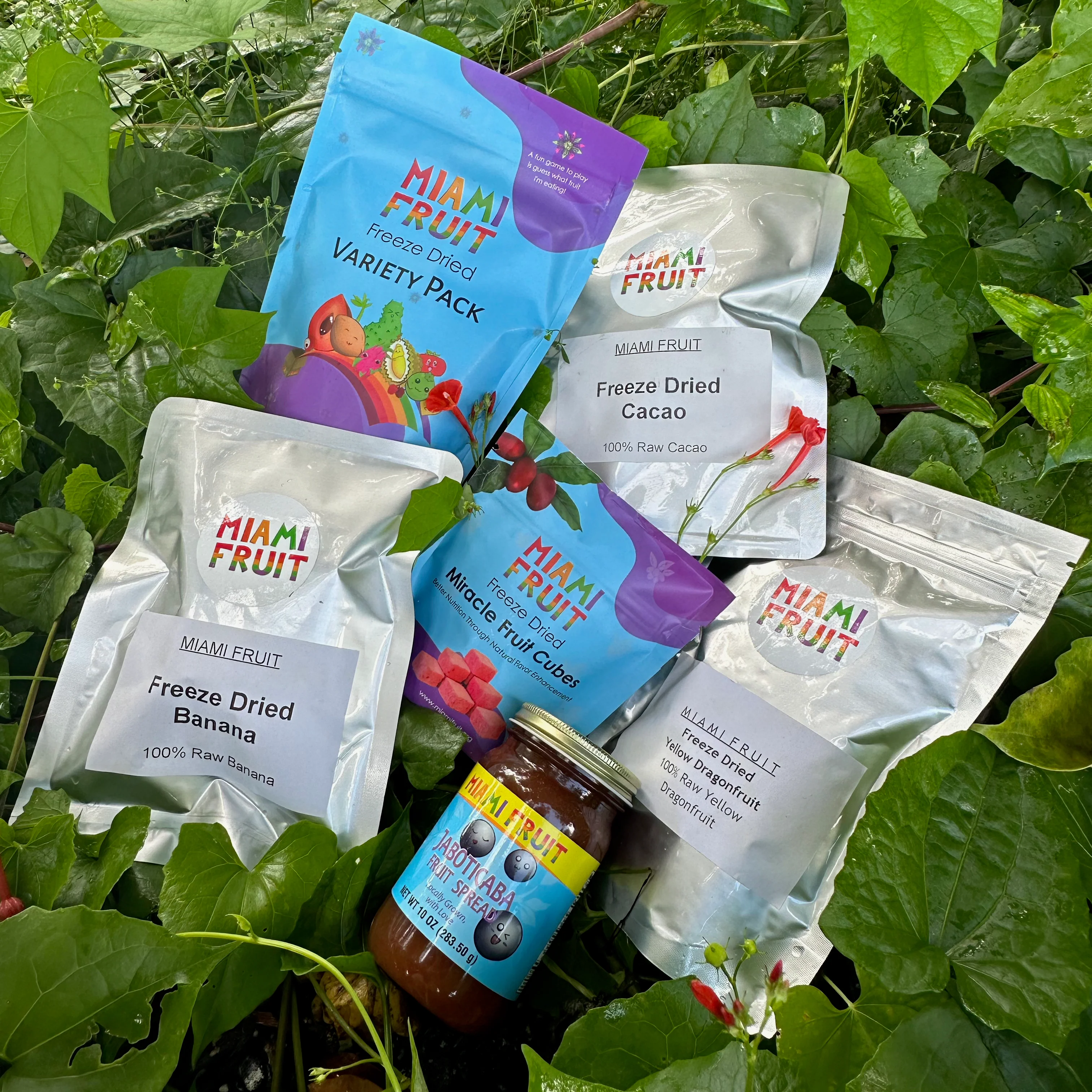Fruit Candy Box - Image 11