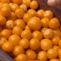 Goldenberry (Peruvian Groundcherry) - Image 2
