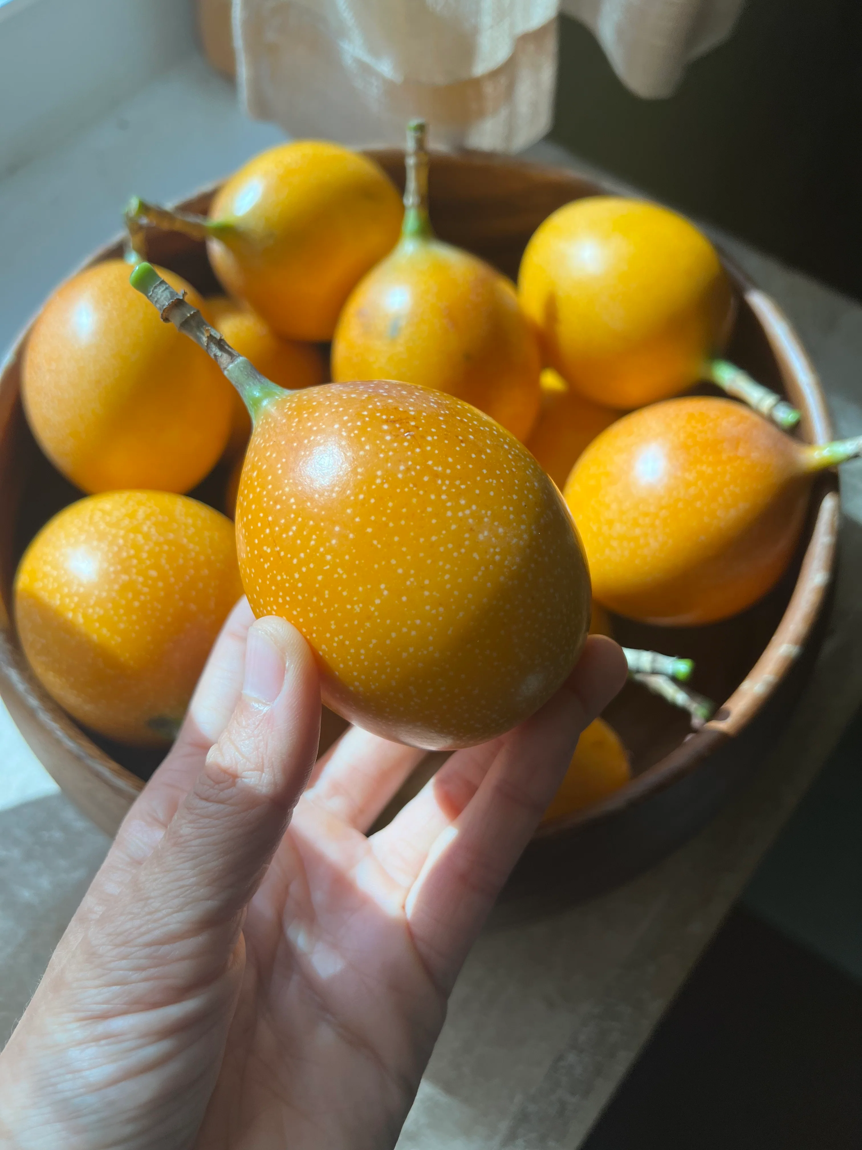 Granadilla *Pre-Order* - Image 9