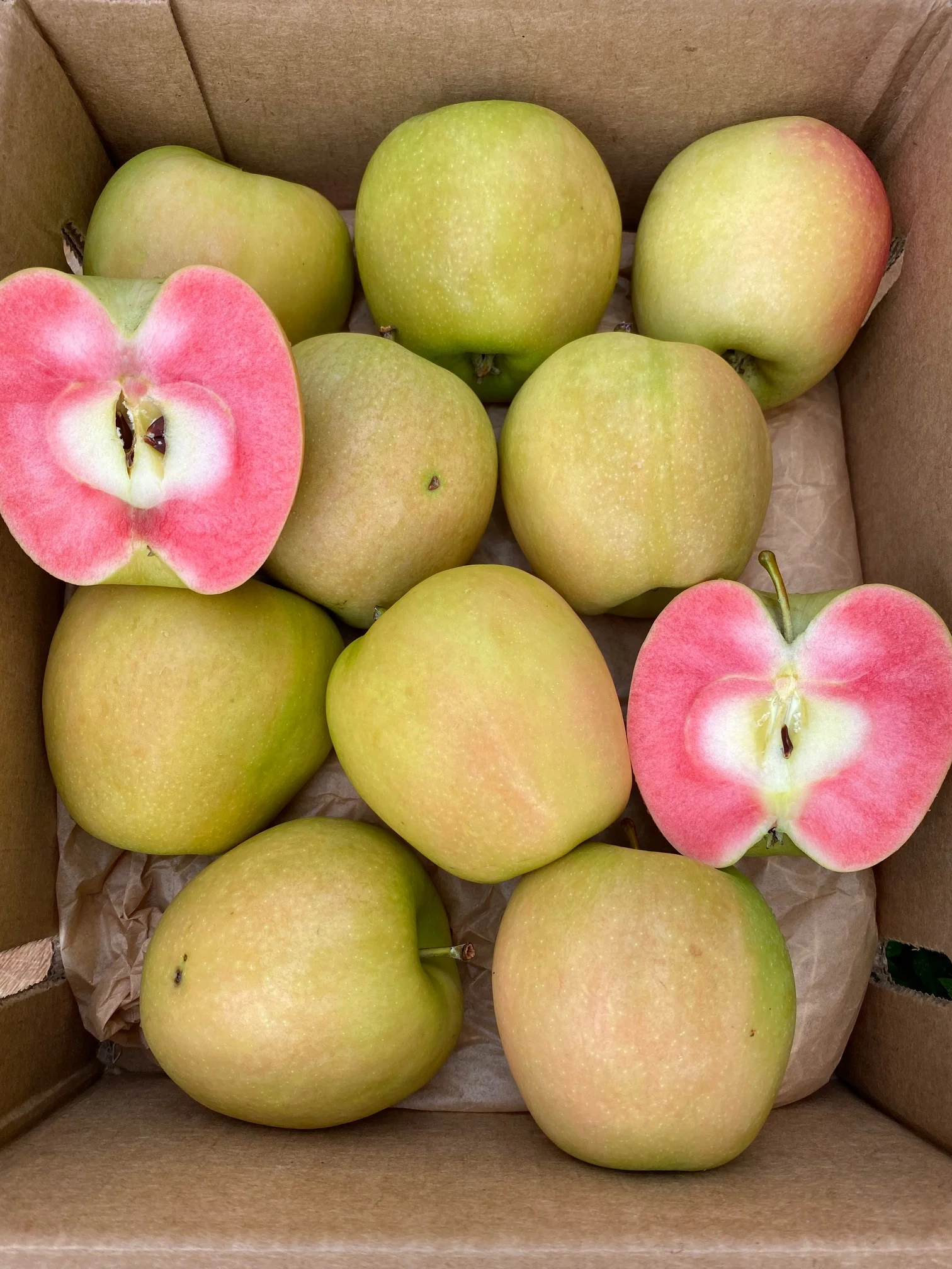 Hidden Rose Apple *Pre-Order* - Image 6