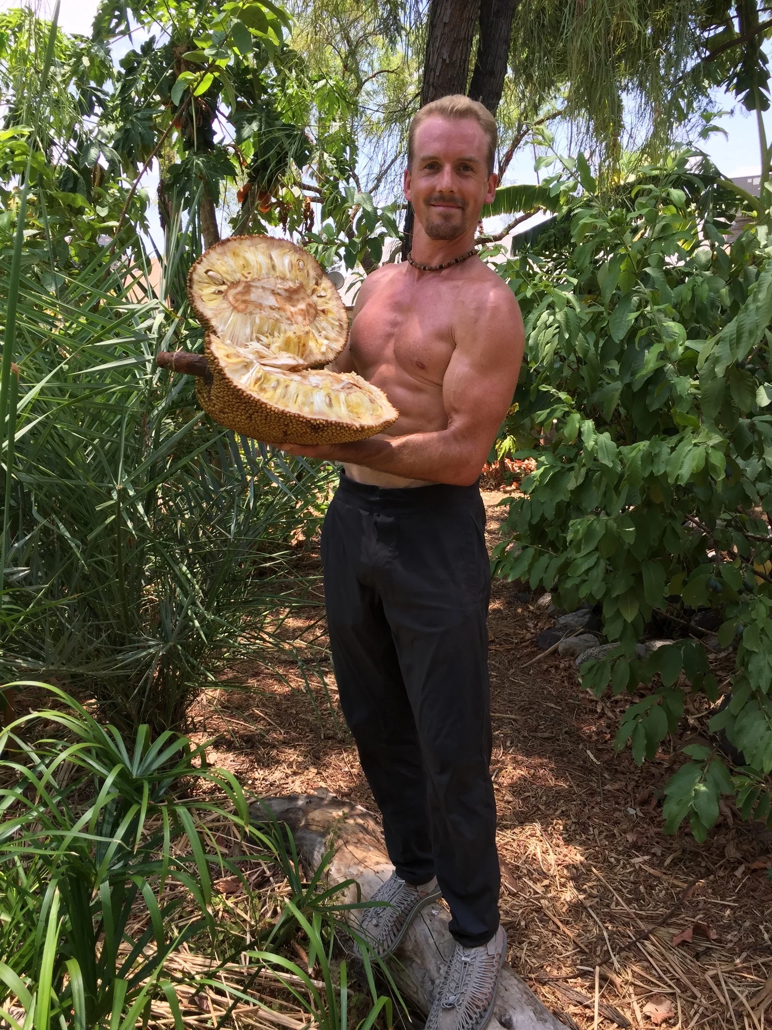 Jackfruit Box - Image 27