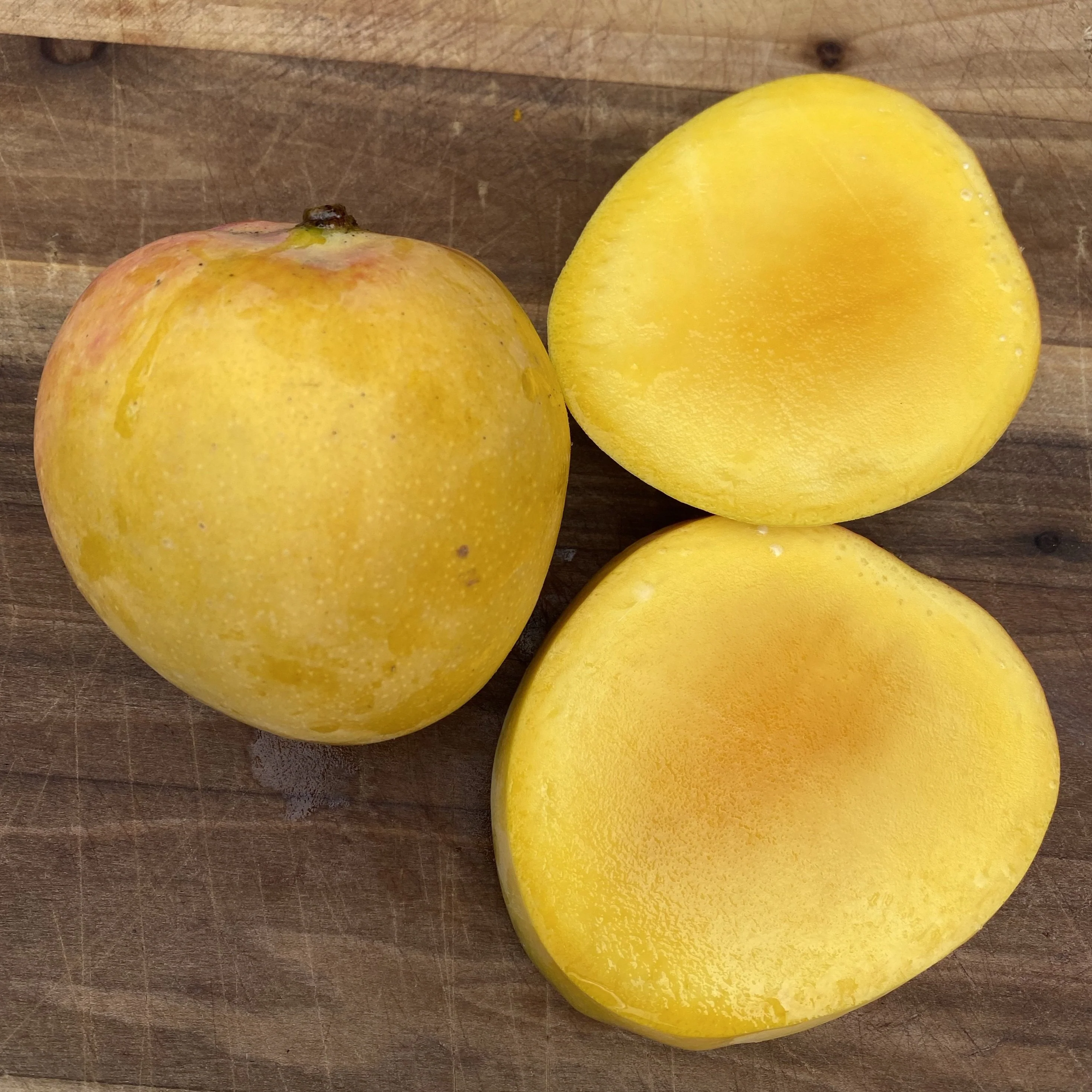 Juicy Peach Mango *Pre-Order*