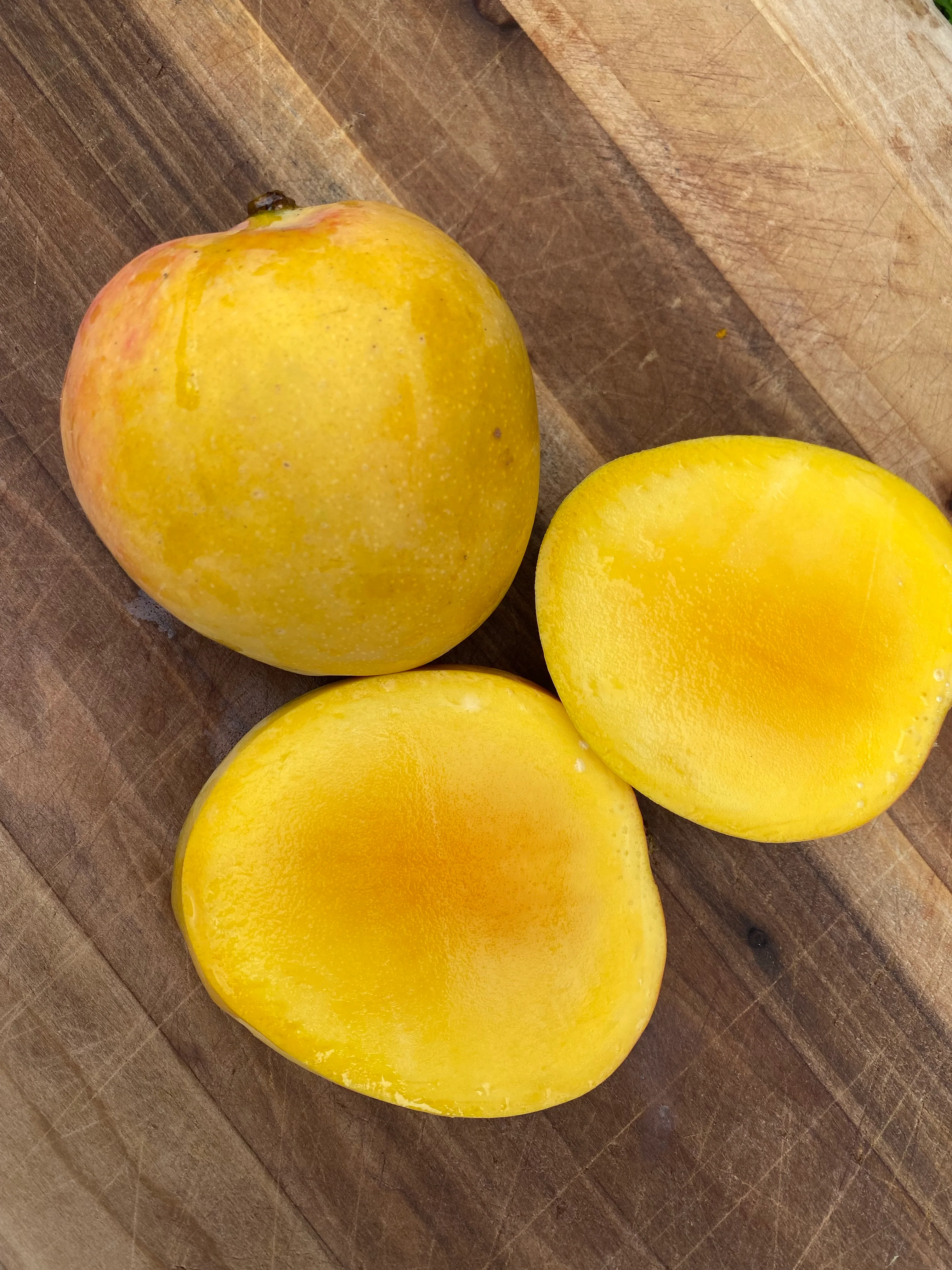 Juicy Peach Mango *Pre-Order* - Image 6