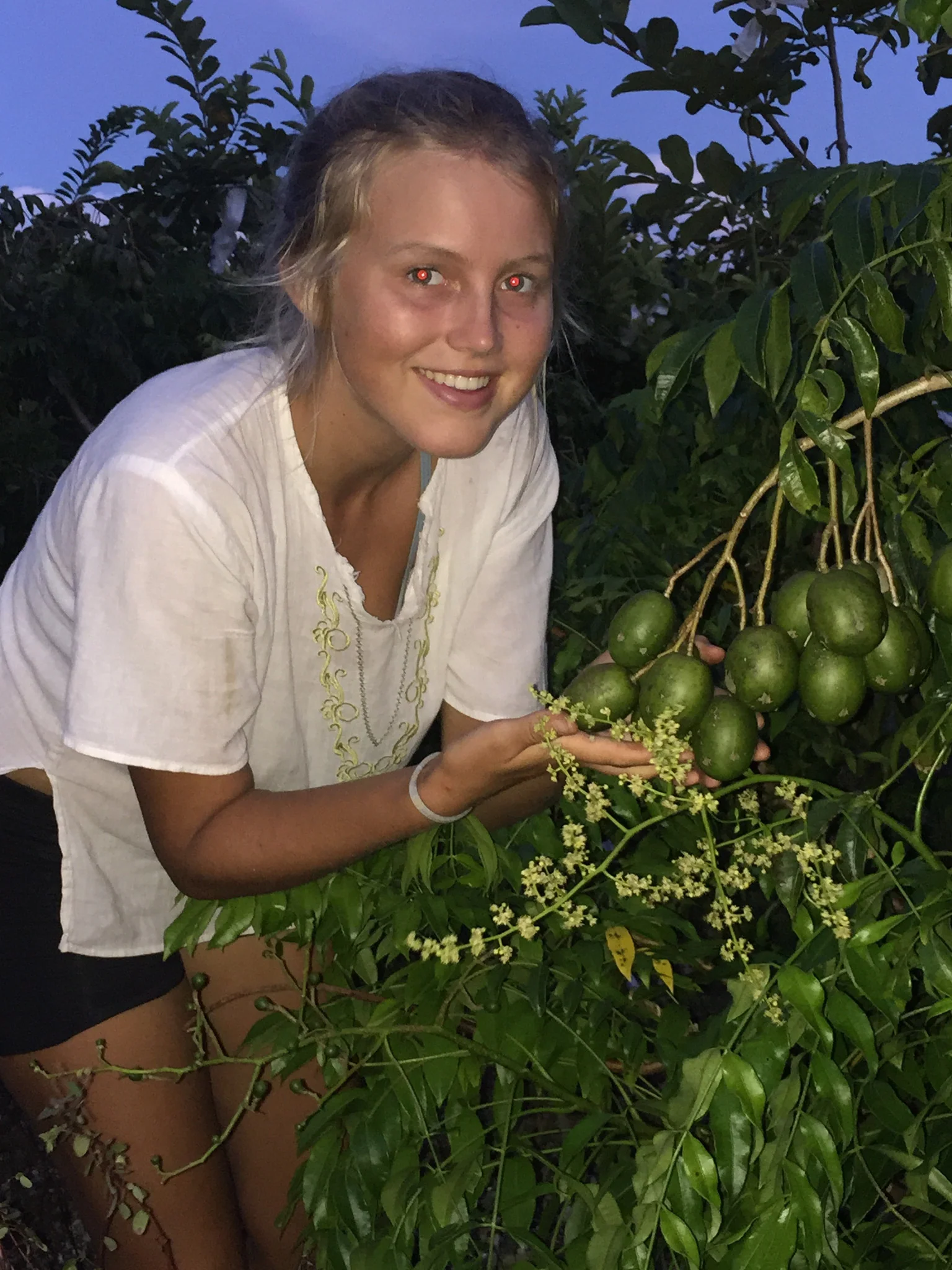 June Plum - Image 4