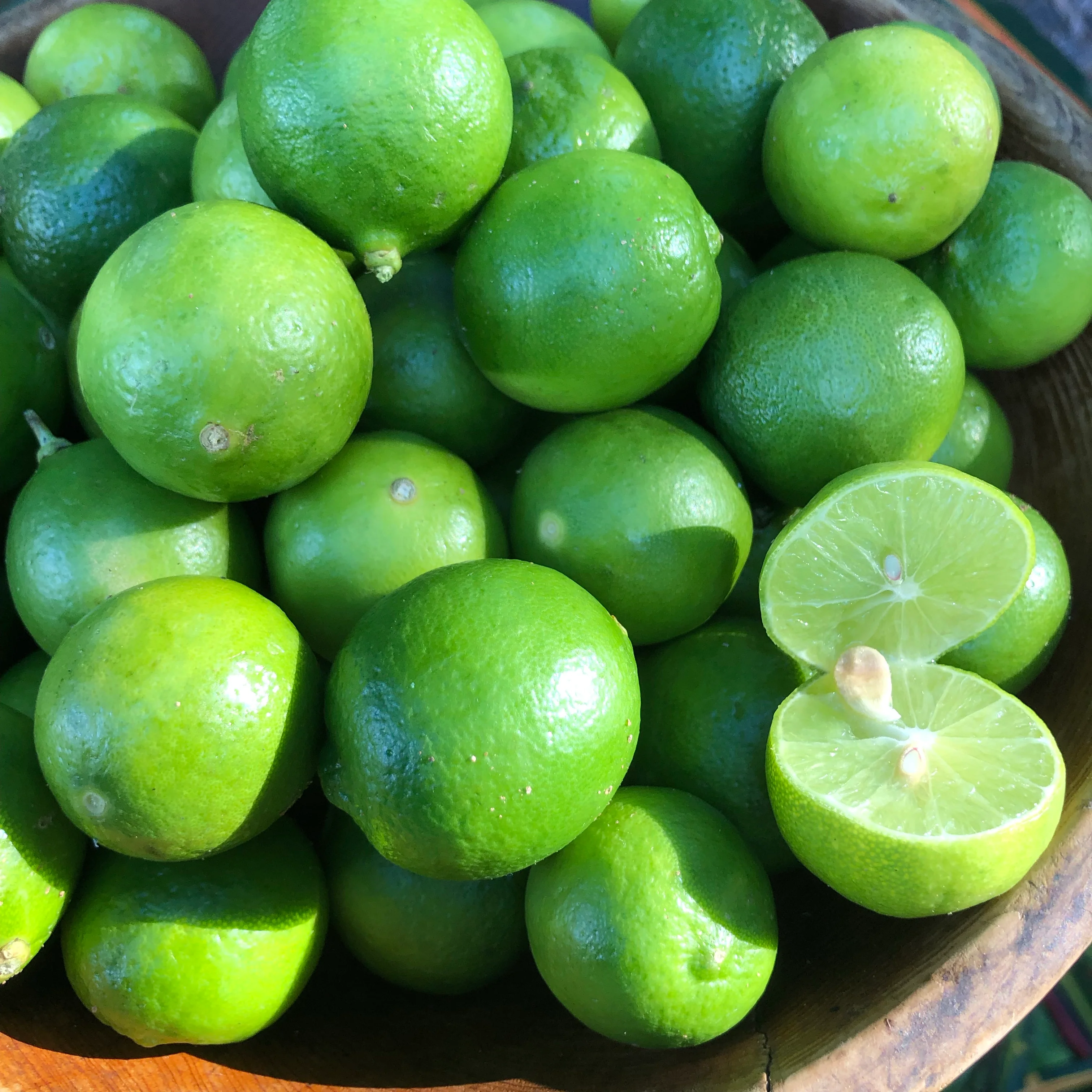 Key Lime - Image 4