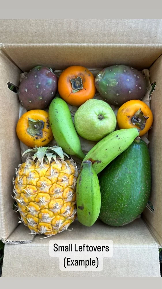 Leftovers Box - Image 4