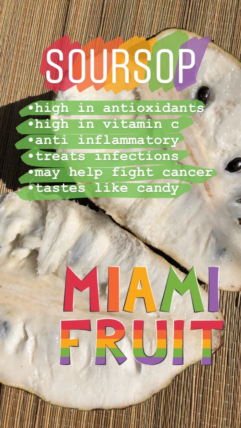 Locally Grown Miami Soursop (Guanabana) *Pre-Order* - Image 15