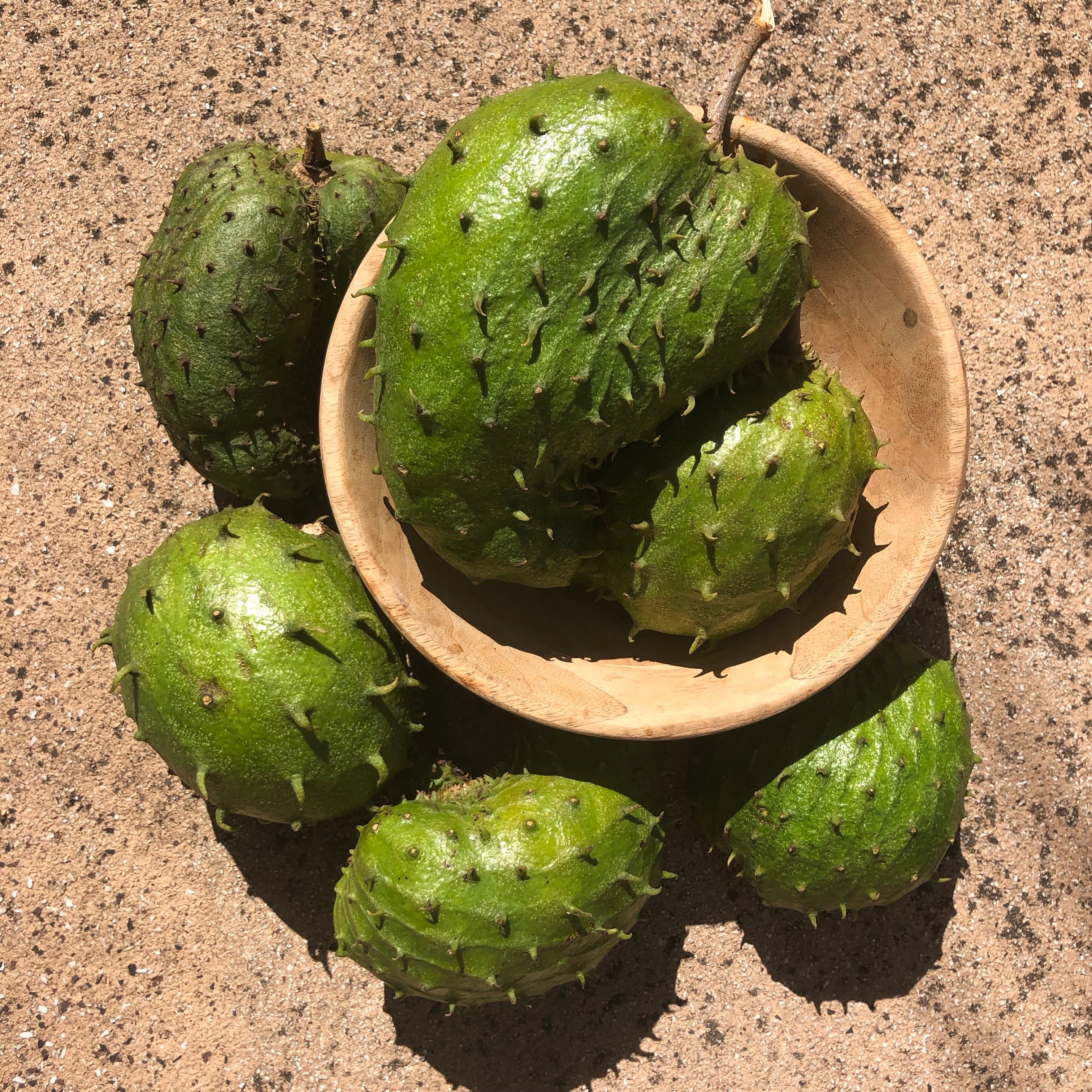 Locally Grown Miami Soursop (Guanabana) *Pre-Order* - Image 5