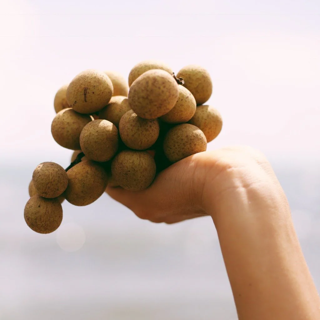 Longan