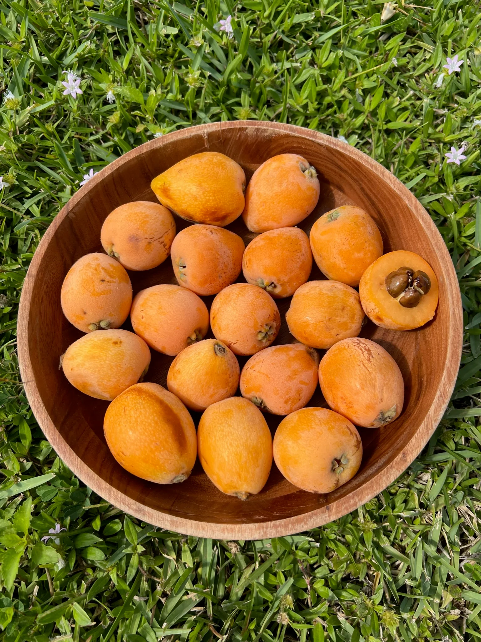 Loquat Box *Pre-Order* - Image 7