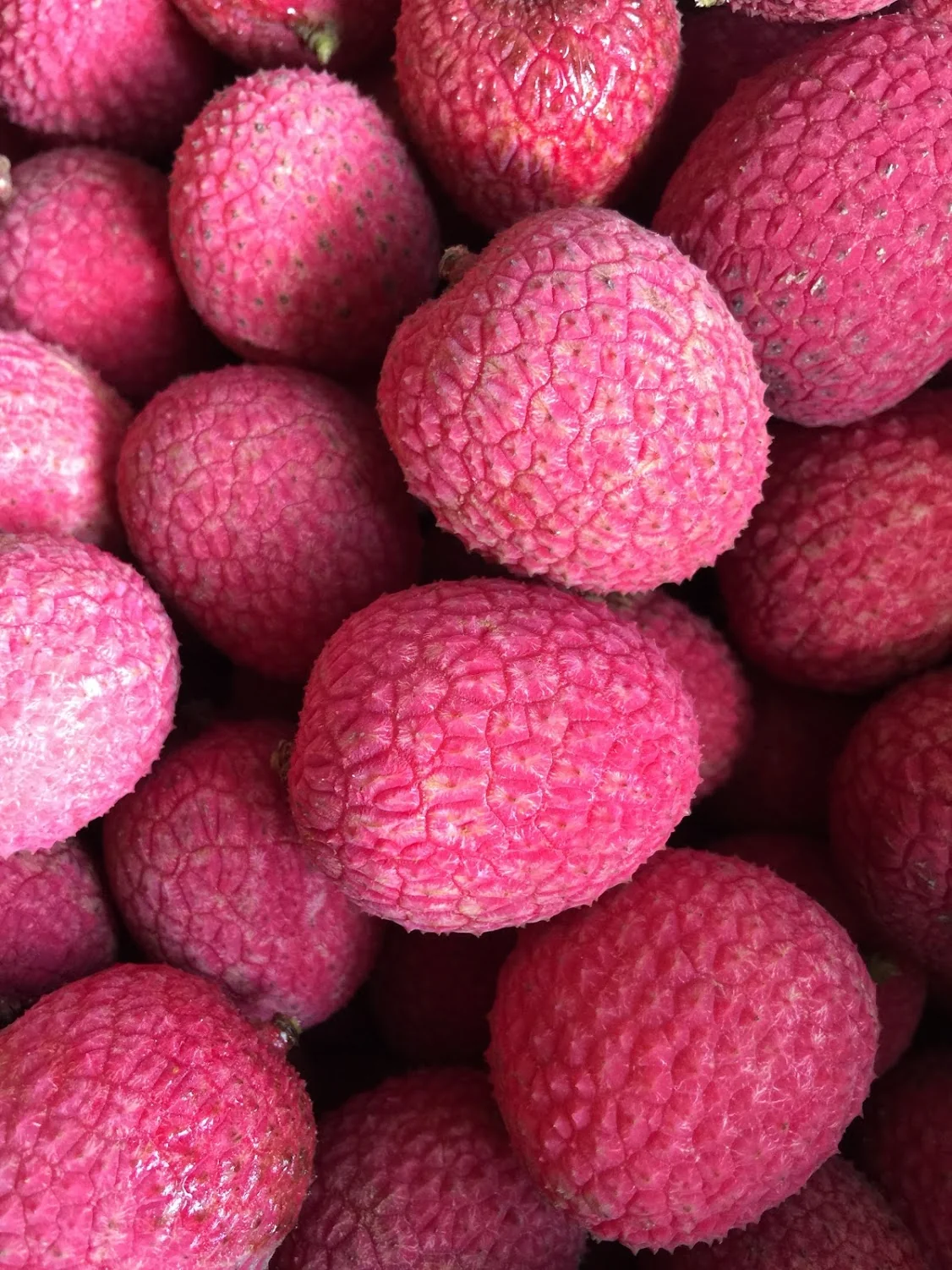 Lychee - Brewster Variety *Pre-Order* - Image 3